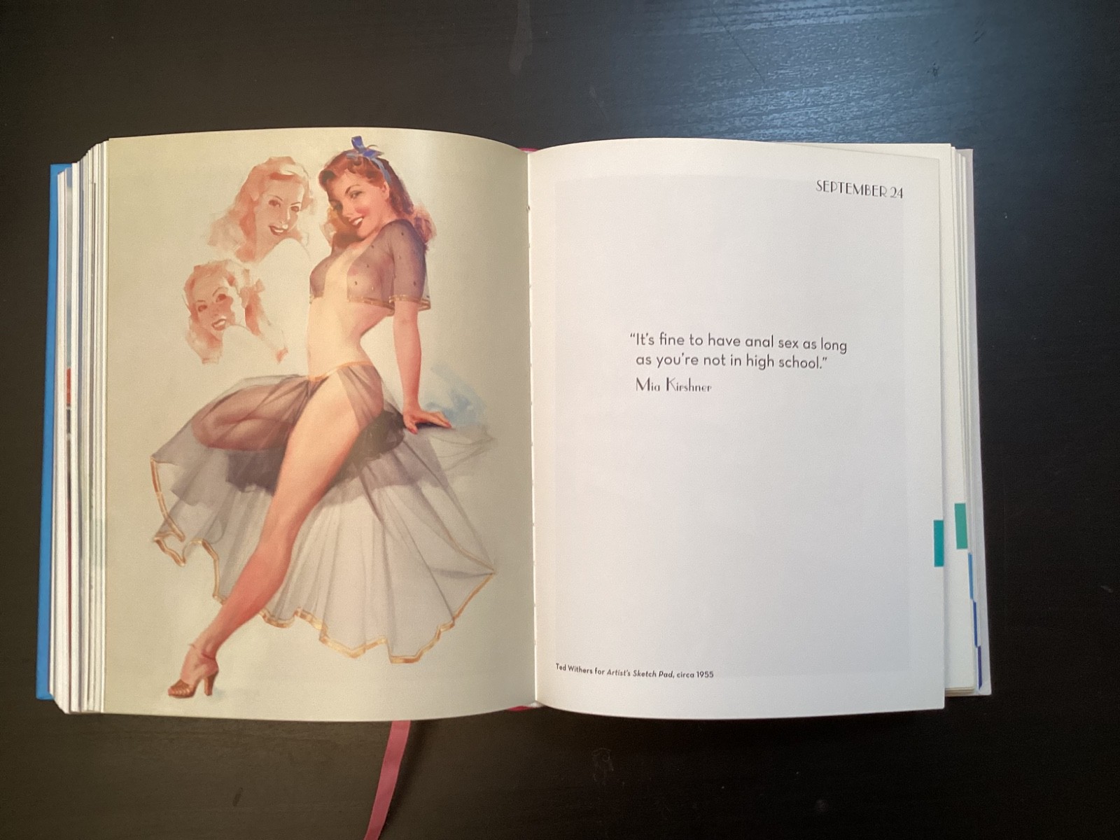 365 Day-by-Day Pin-Up Dian Hanson (2012, Hardcover Taschen)