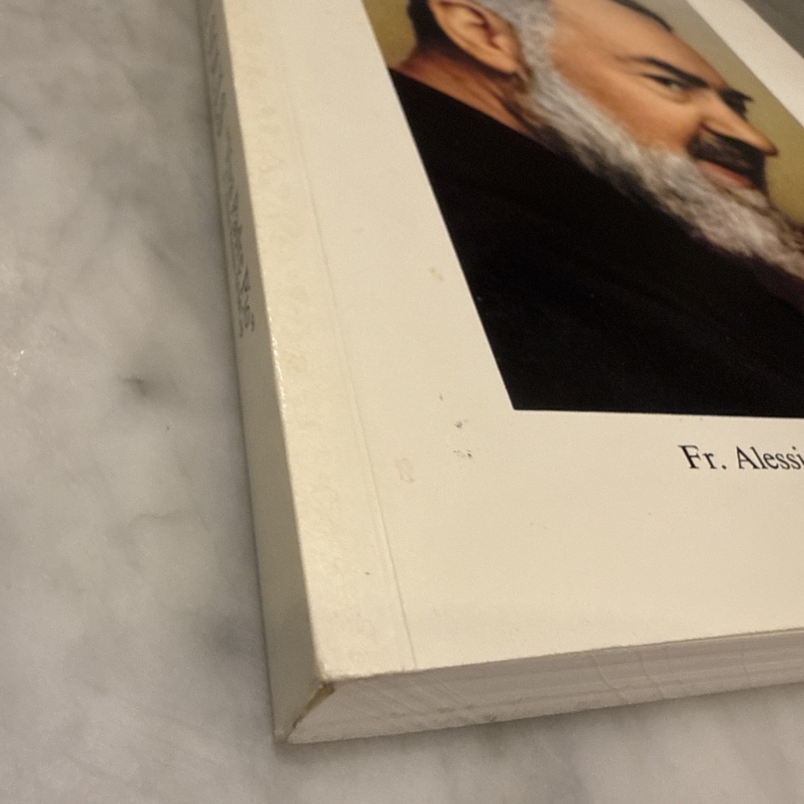 The Holy Souls “Viva Padre Pio” – by Fr. Alessio Parente 2nd Ed SIGNED Megliolo