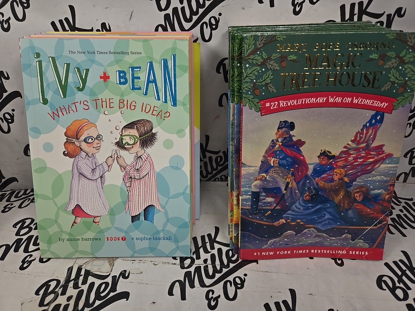 Magic Tree House & Ivy & Bean Chapter Book Lot of 22 Early Reader Books Ages 6-9