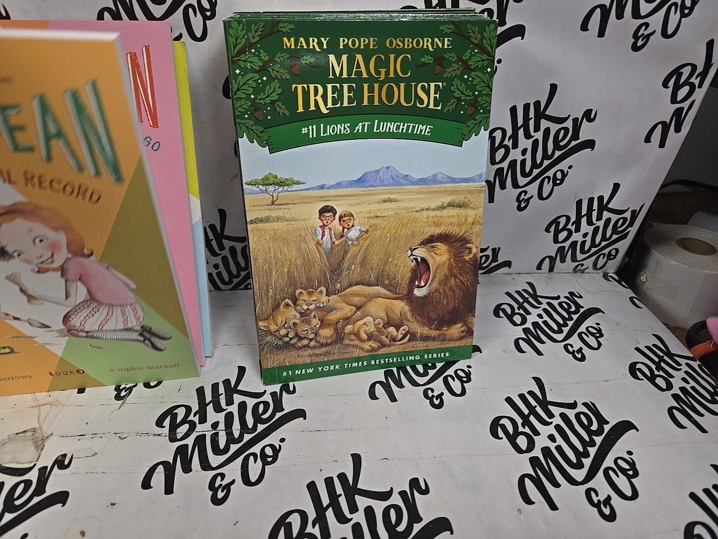 Magic Tree House & Ivy & Bean Chapter Book Lot of 22 Early Reader Books Ages 6-9