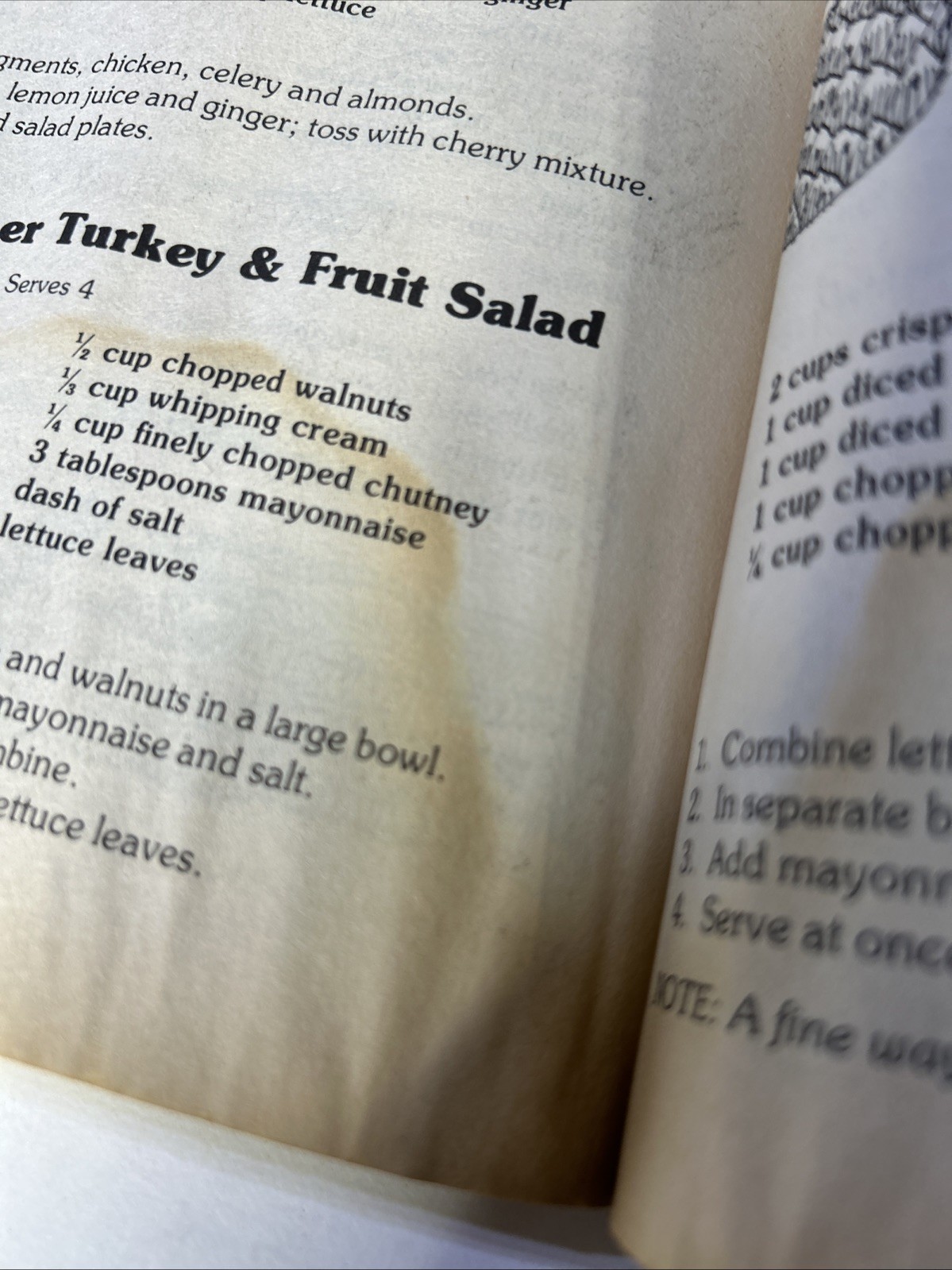 The Complete Start-Your-Meal Cookbook: The Speedy Gourmet Library Series