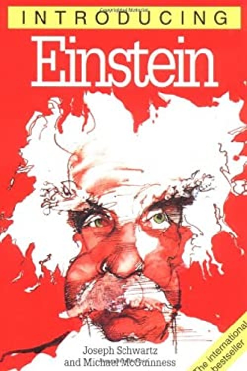 Introducing Einstein Paperback Joseph, McGuinness, Michael Schwar