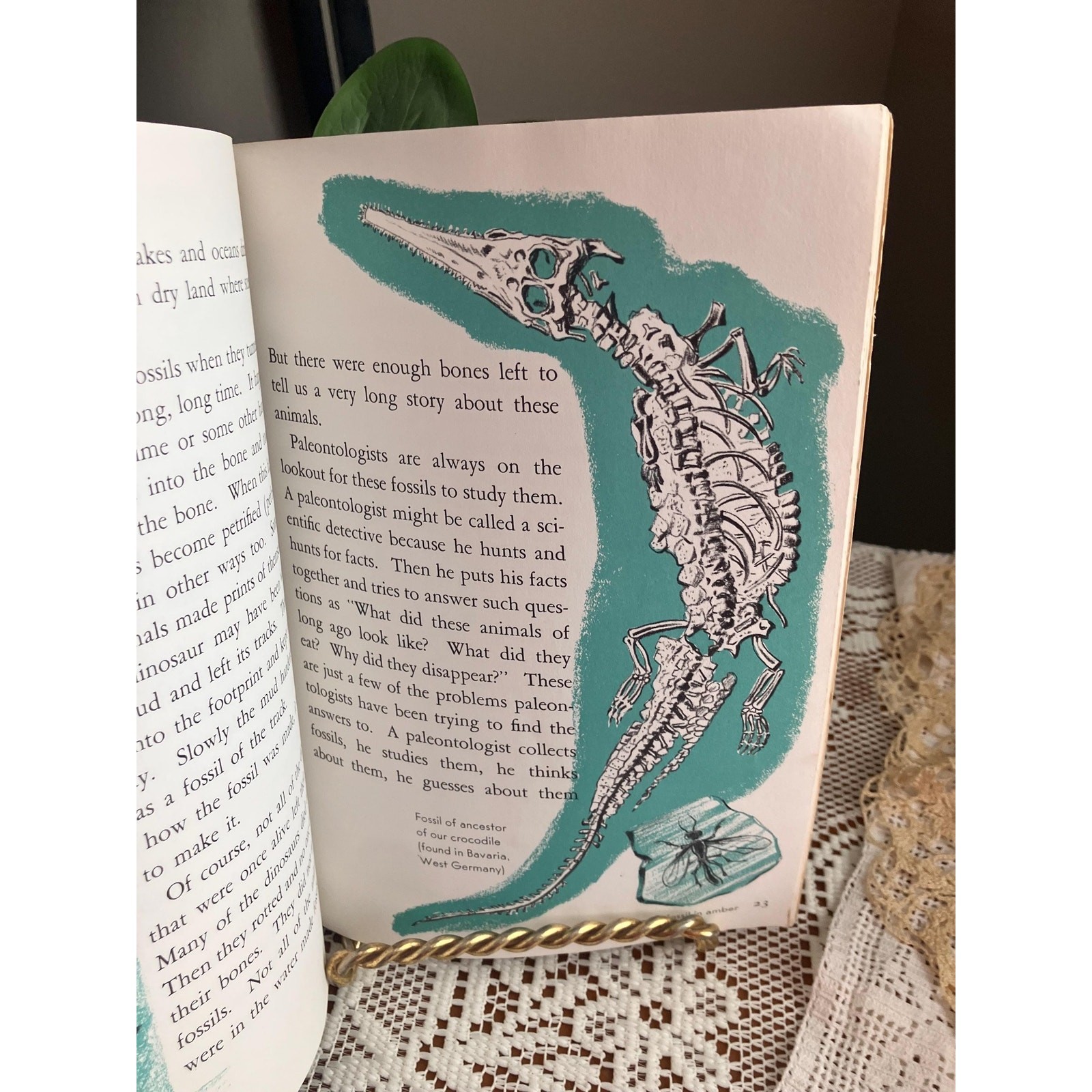 1960 Discovering Dinosaurs by Glenn O. Blough – Vintage AEP Dinosaur Kids Book