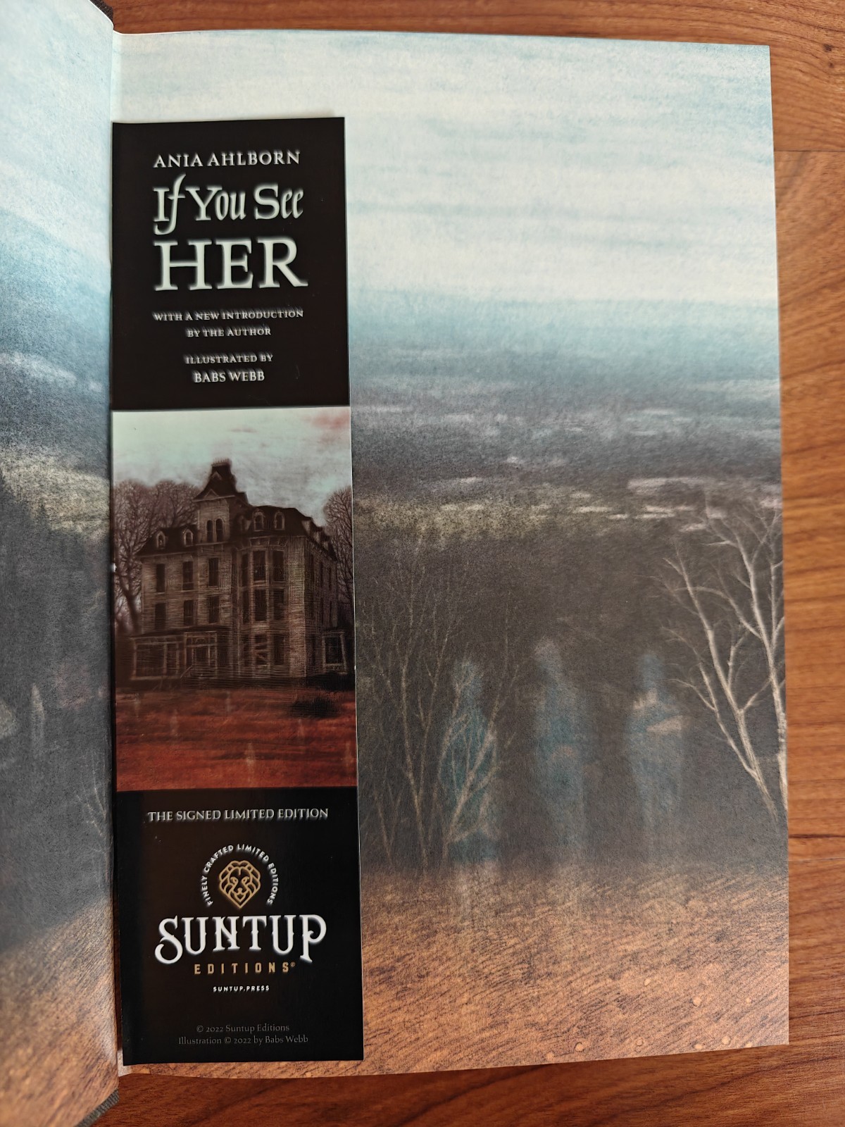 Suntup – If You See Her By Ania Ahlborn – Artist Edition