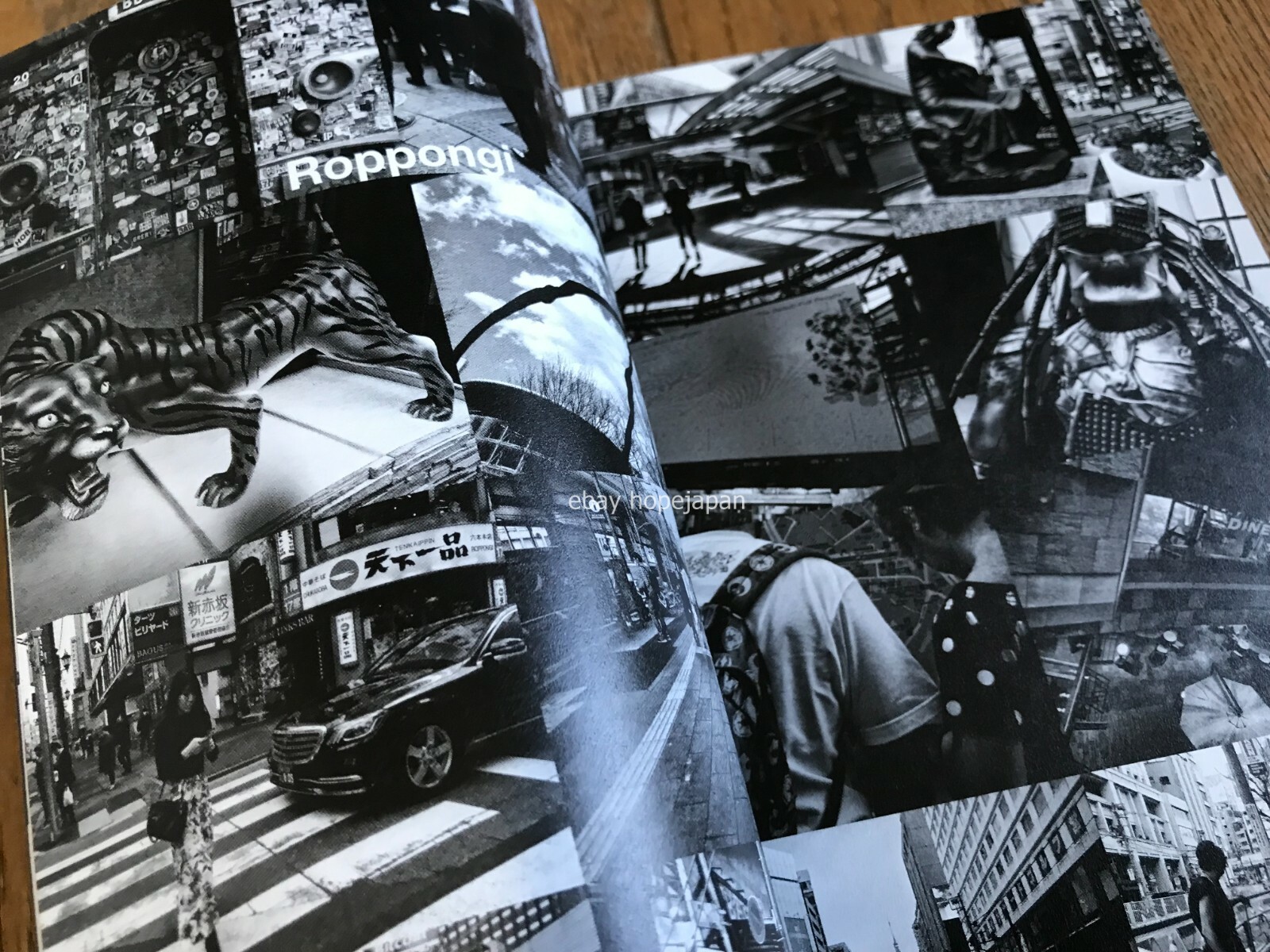 Daido Moriyama TOKYO Photo Book Tokyo Japan Art Limited Edition