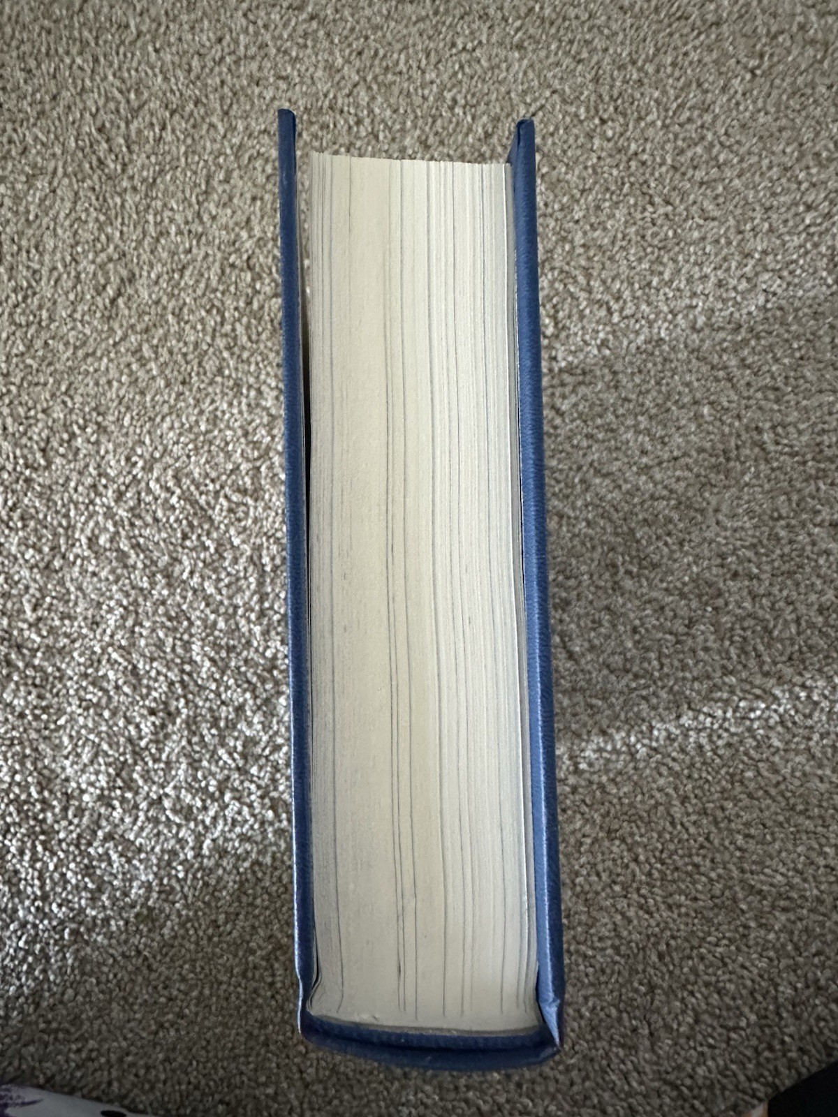 Brandon Sanderson (First Edition) Yumi and the Nightmare Painter Secret Project