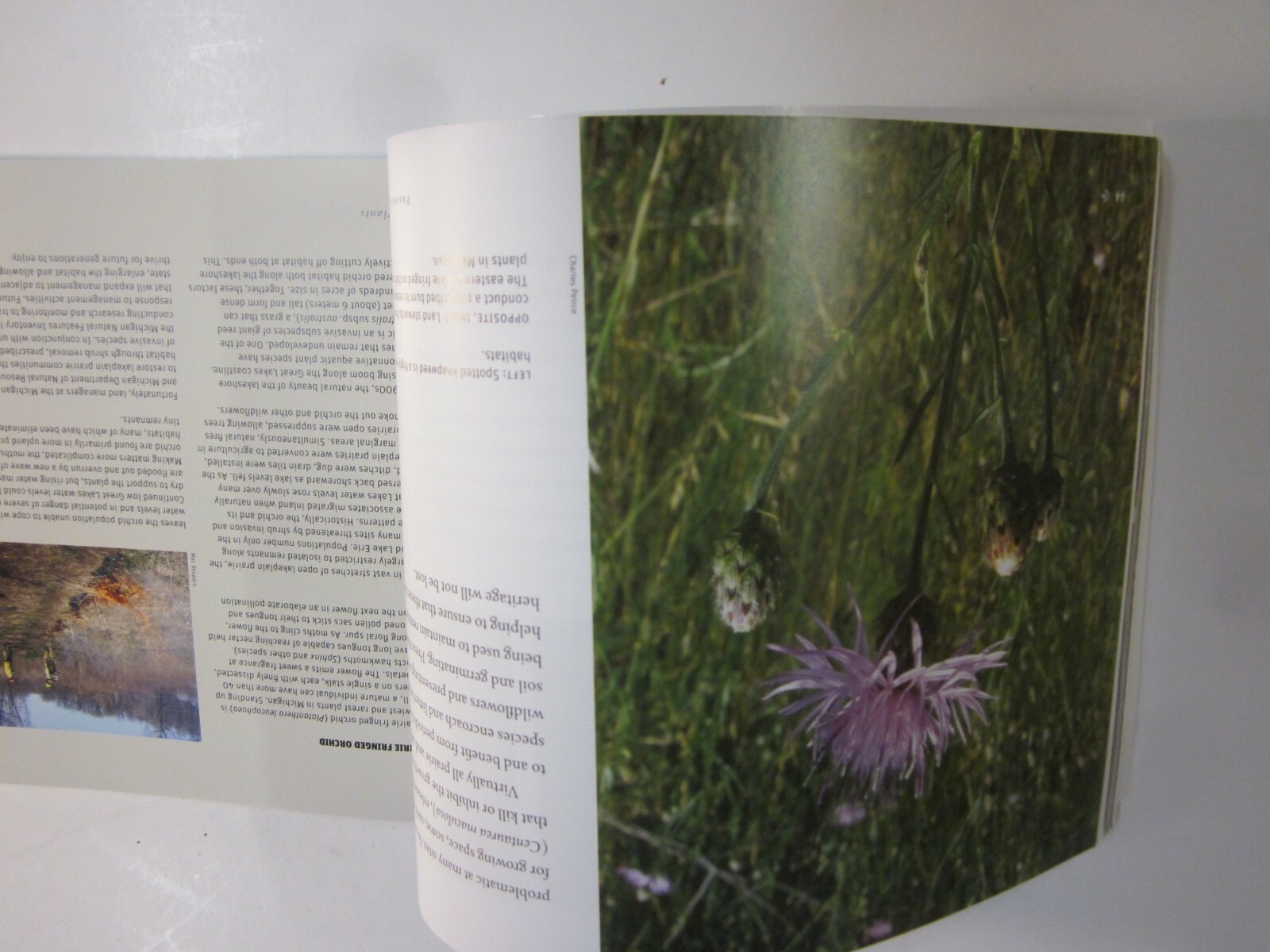 Prairies and Savannas in Michigan : Rediscovering Our Natural Heritage 2009