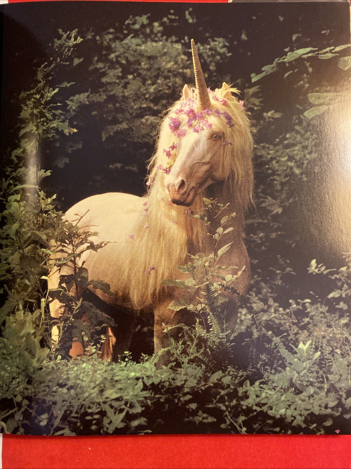 The Unicorn of Kilimanjaro by Robert Vavra 1988 1st Edition Hardcover