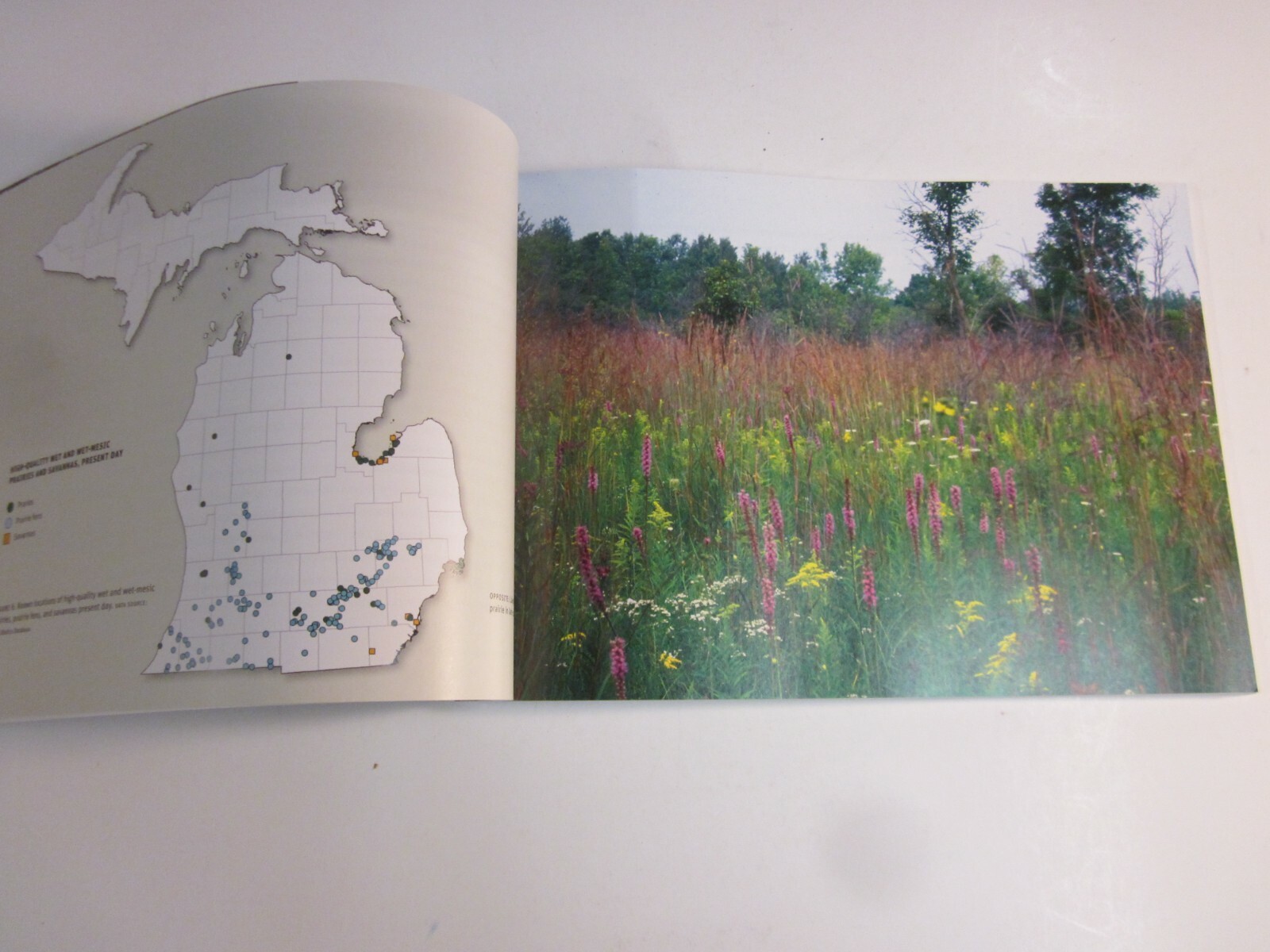 Prairies and Savannas in Michigan : Rediscovering Our Natural Heritage 2009