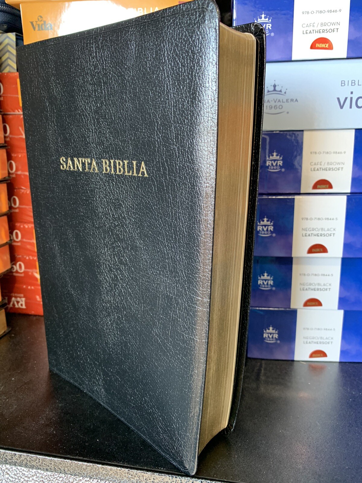 BIBLIA BILINGUE REINA VALERA1960/KJV Bilingual Bible PIEL FABRICADA 10 PUNTOS
