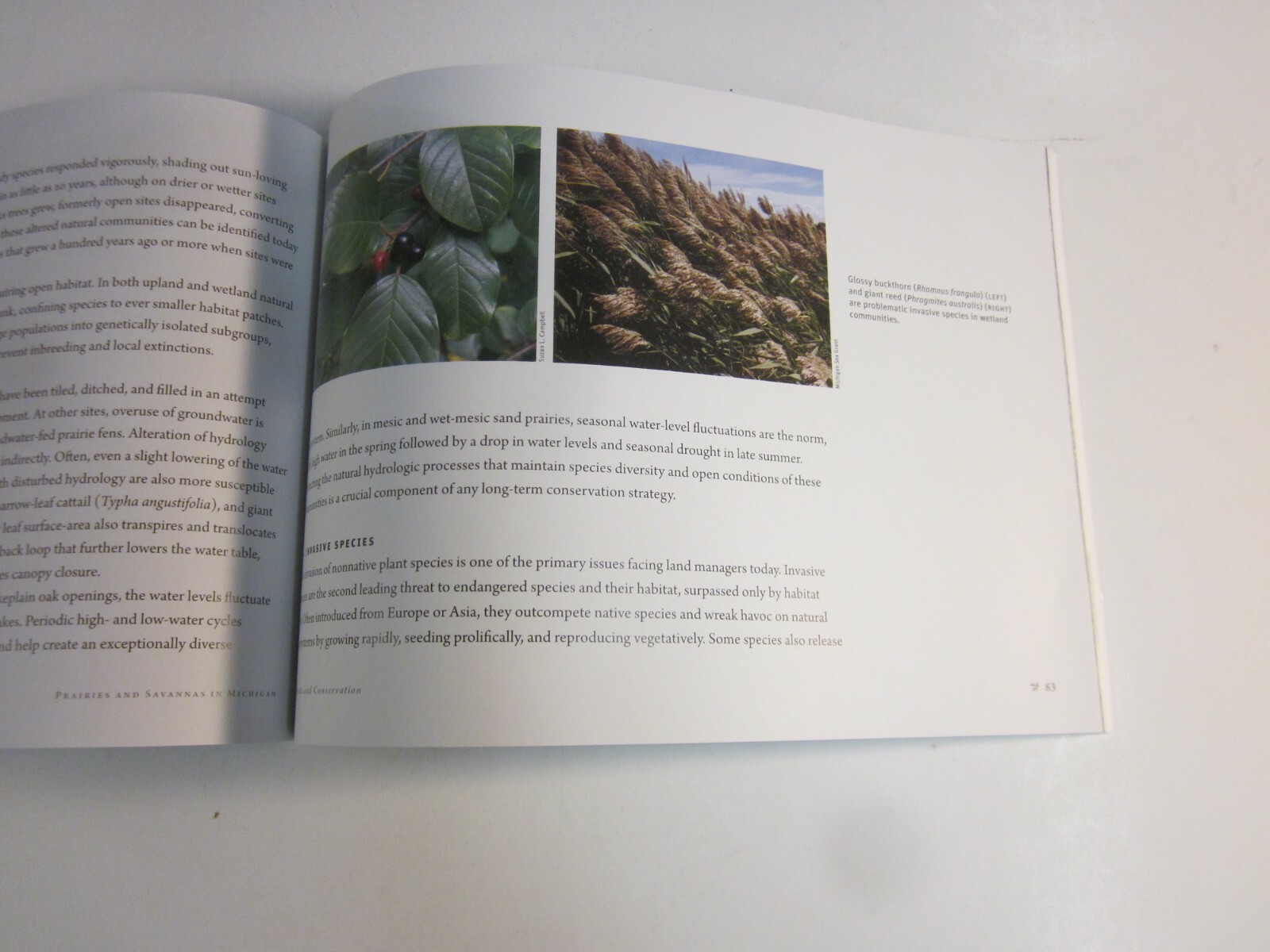 Prairies and Savannas in Michigan : Rediscovering Our Natural Heritage 2009