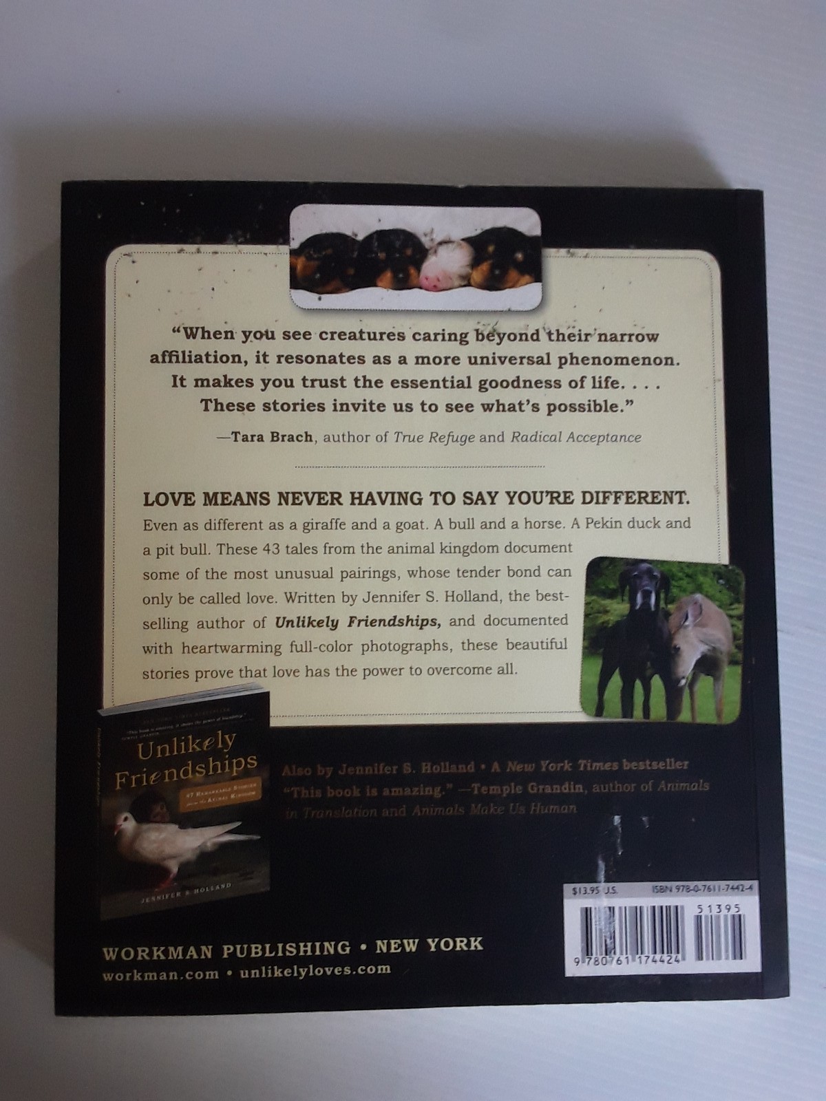 Unlikely Loves By Jennifer S. Holland 43 Heartwarming True Stories Animals Pets