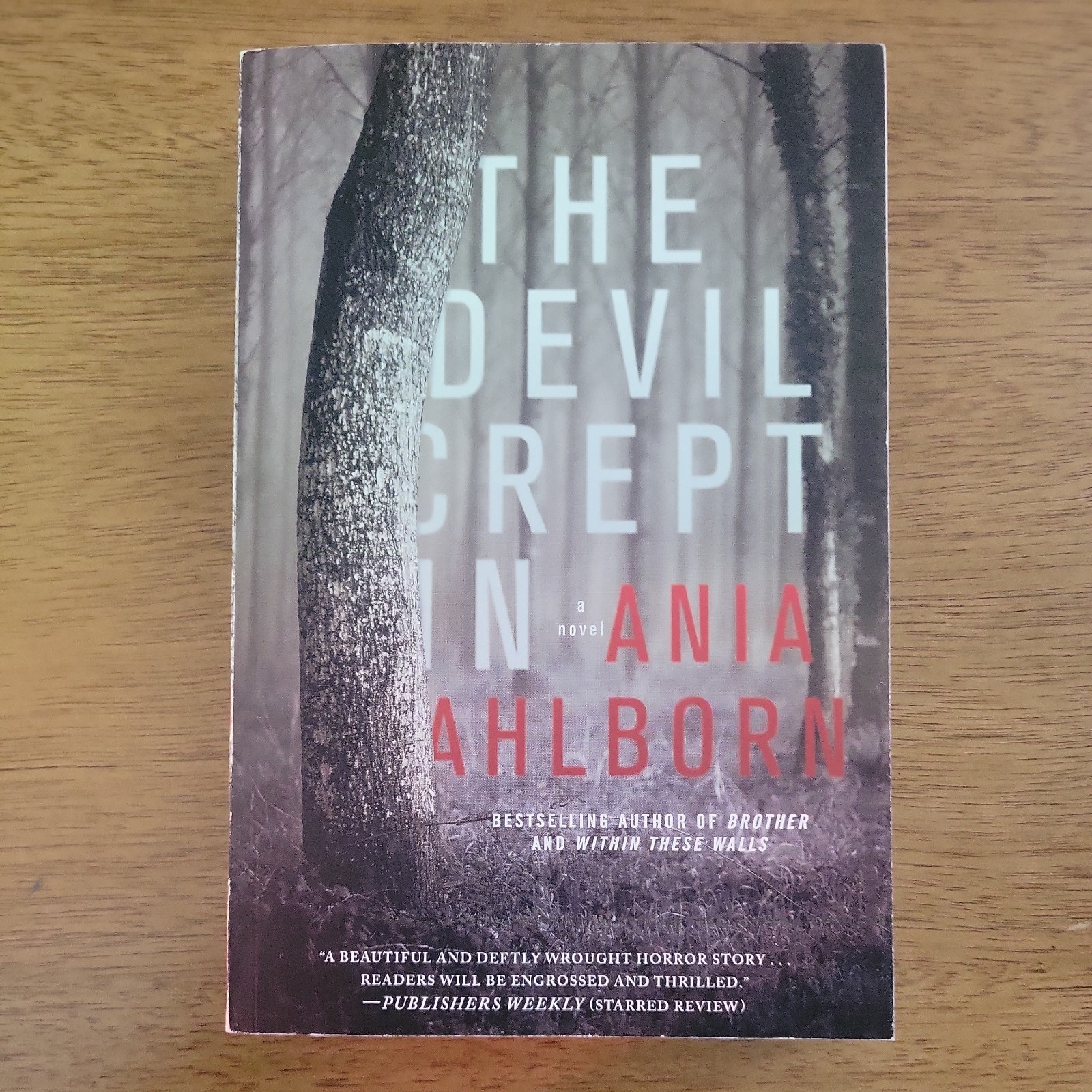 THE DEVIL CREPT IN – ANIA AHLBORN – Gallery Books Trade Paperback 2017