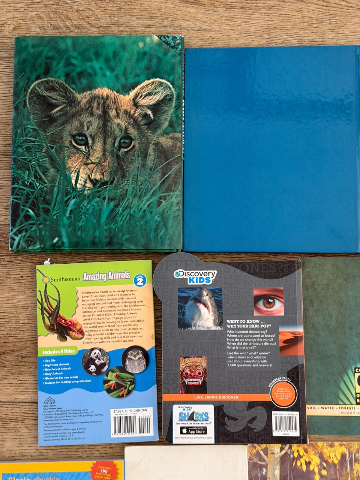 Lot of 15 Children’s Animal animals Picture Books Homeschool Sharks, Reptiles…