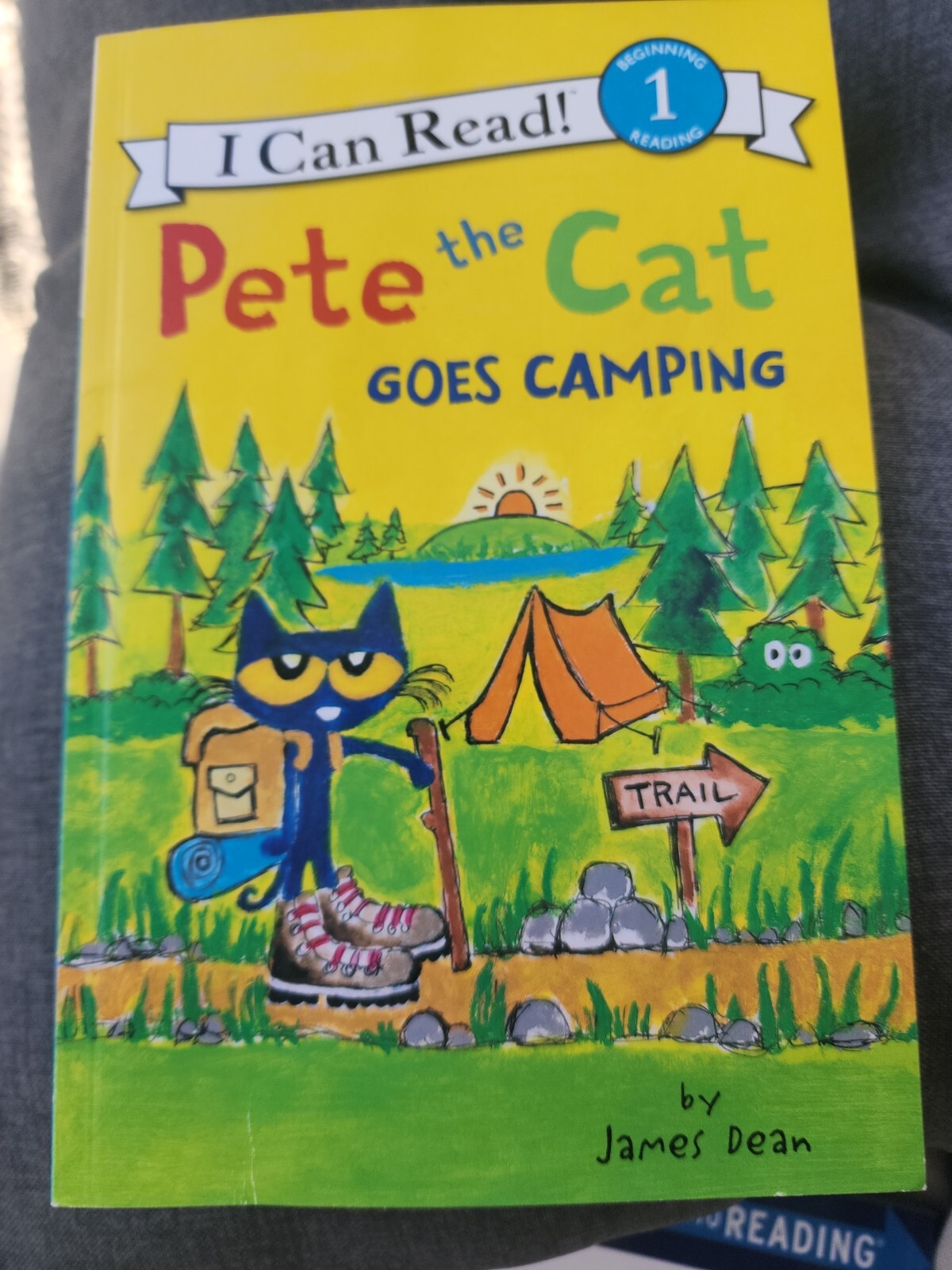 I Can Read Level 1 Pete the Cat Goes Camping