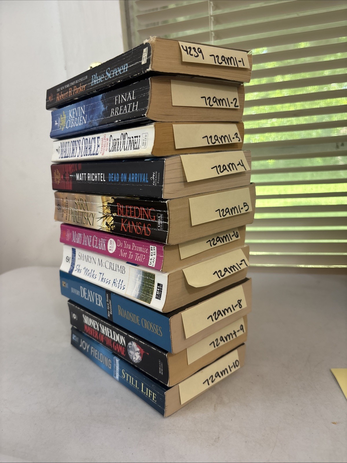 Lot of 10 – Mystery and Thrillers – Mixed Authors – FREE SHIPPING