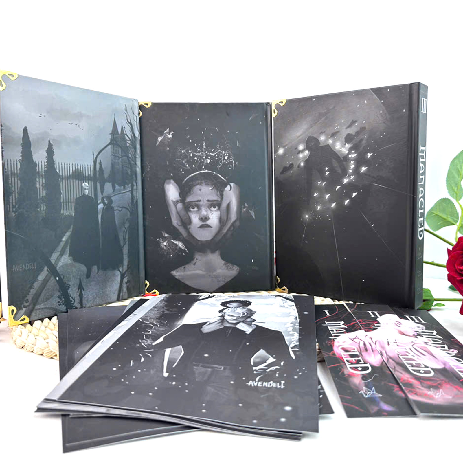 Manacled Book – Deluxe 3-Volume Edition with Illustrations – Complete Series 15