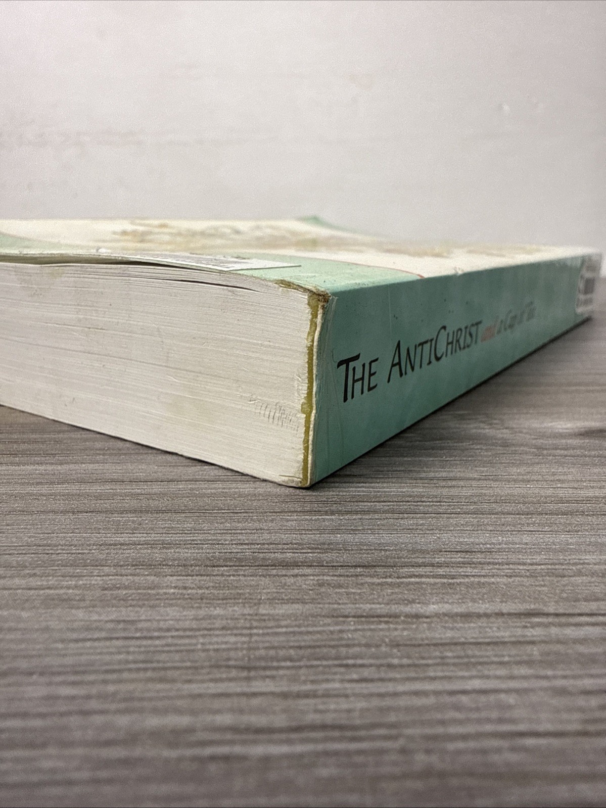 THE ANTICHRIST AND A CUP OF TEA Tim Cohen 1st Edition PB 1998 Conspiracy