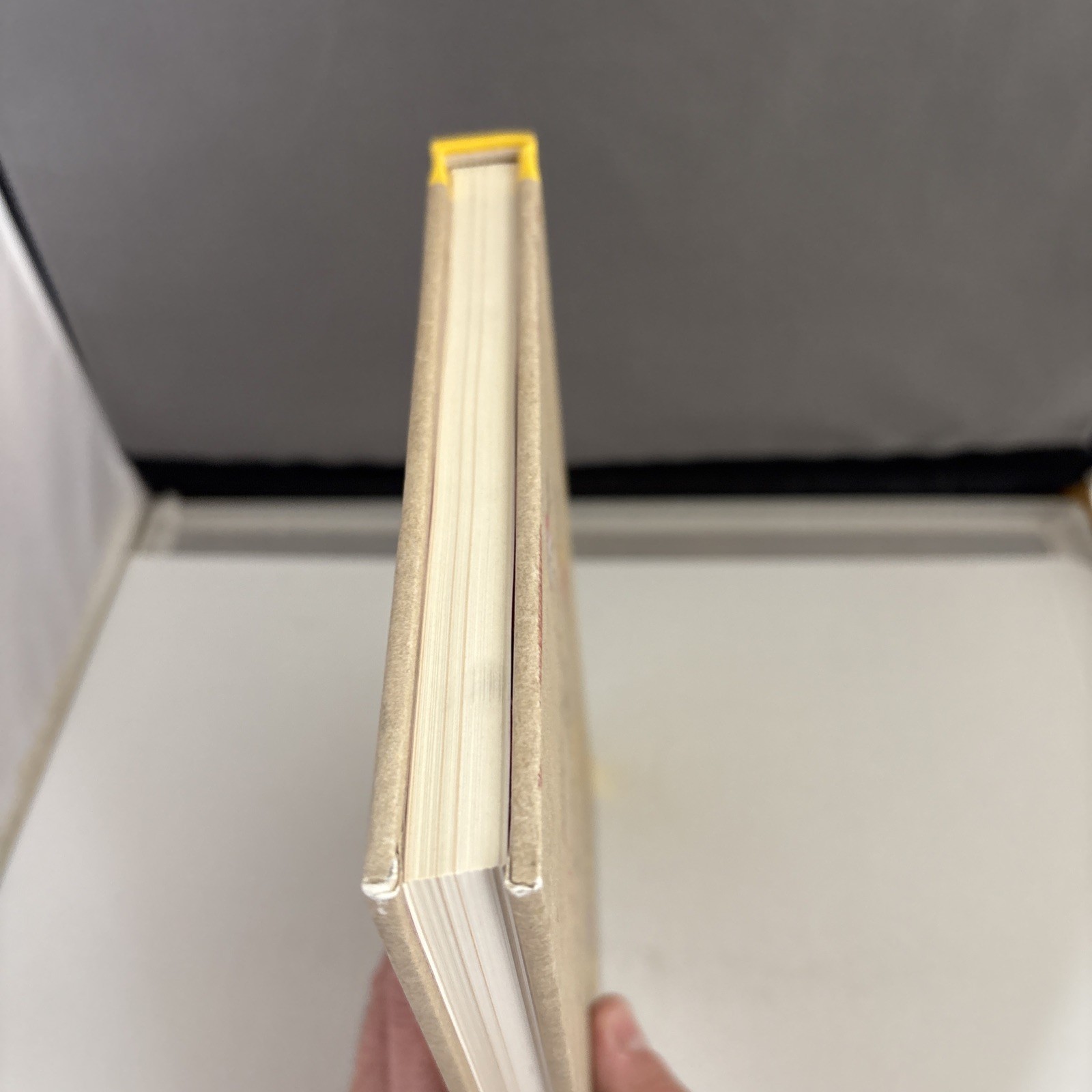 SIGNED David Byrne (Taking Heads) & Maira Kalman American Utopia Book