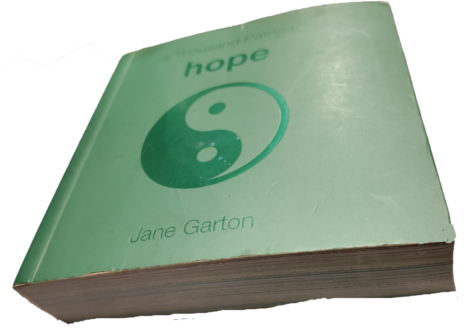 A Thousand Paths to Hope by Jane Garton: 466 Pages/Paths to Positivity of Hope