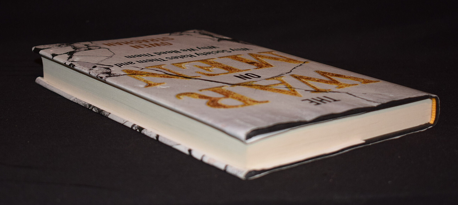 War on Men: Why Society Hates … by Owen Strachan ~ Pages 201 ~HC~W/Dust Jacket