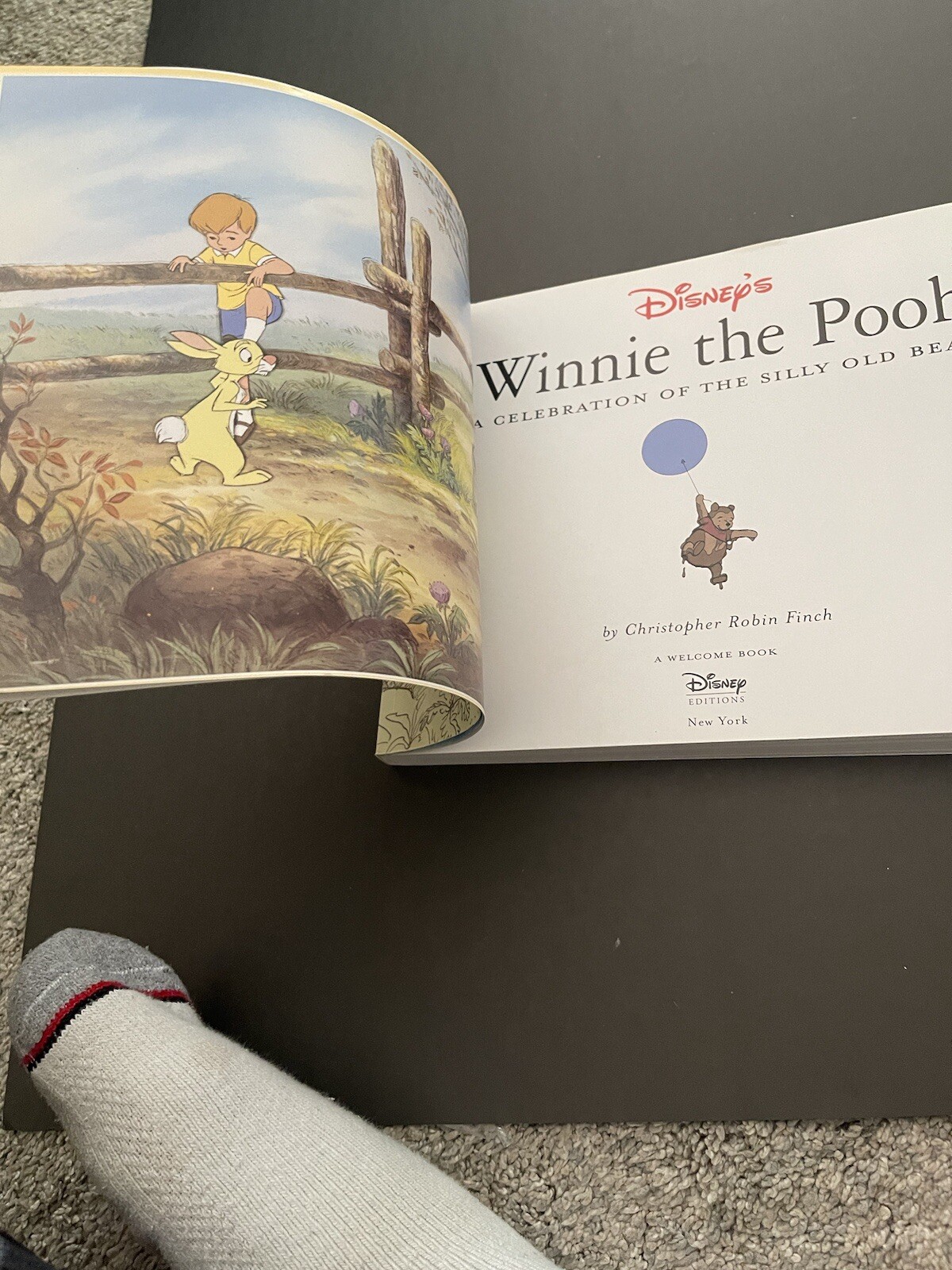 Disney’s Winnie the Pooh A Celebration of the Silly Old Bear -2002