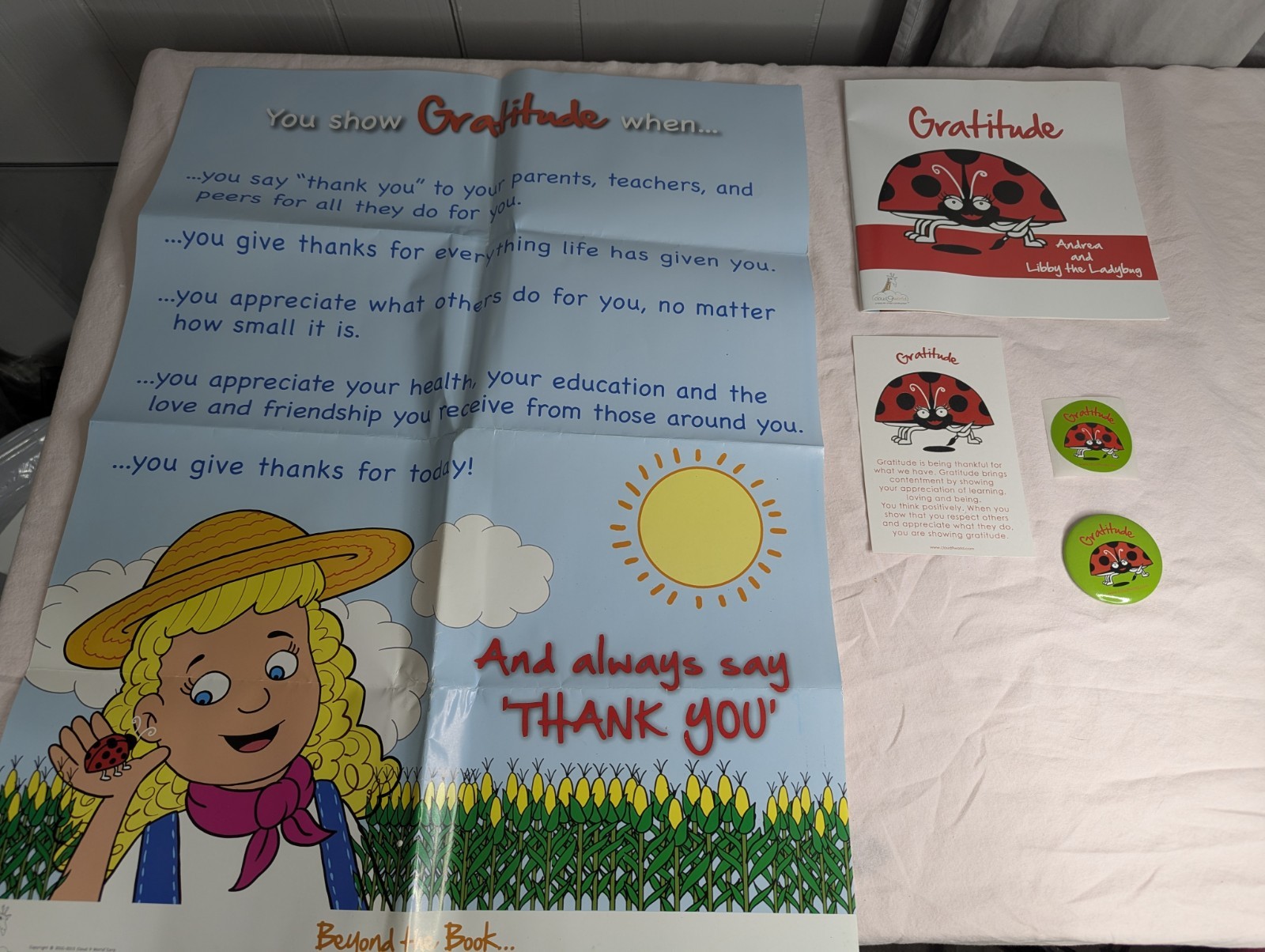 Home School Teachers Cloud 9 world character book GRATITUDE 2nd-5th poster kit