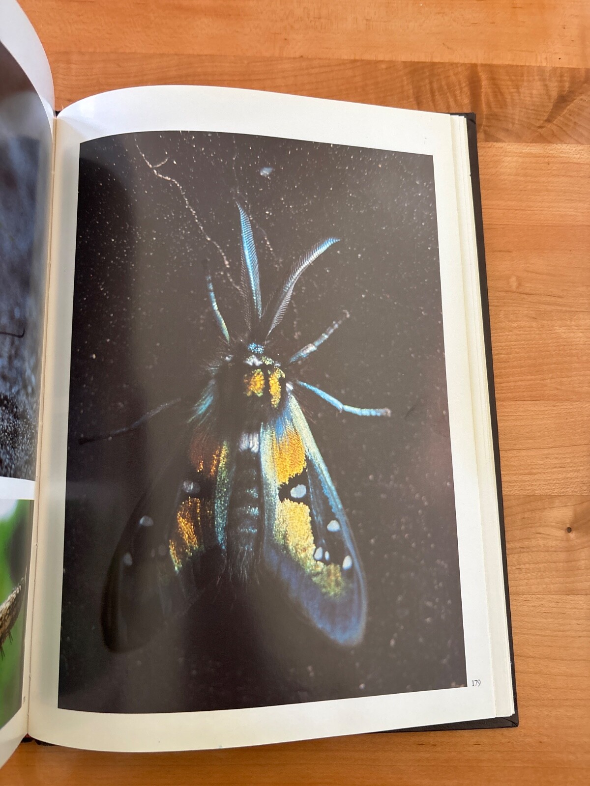 National Parks of Ecuador Hardback 1987 by Jorge Juan Anbalzer 230 Pages Rare