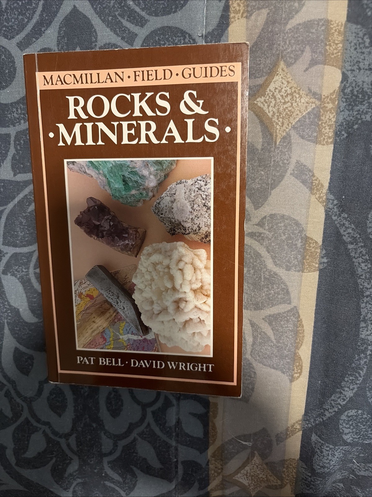 Rocks and Minerals (Macmillan Field Guide) by Pat Bell; David Wright