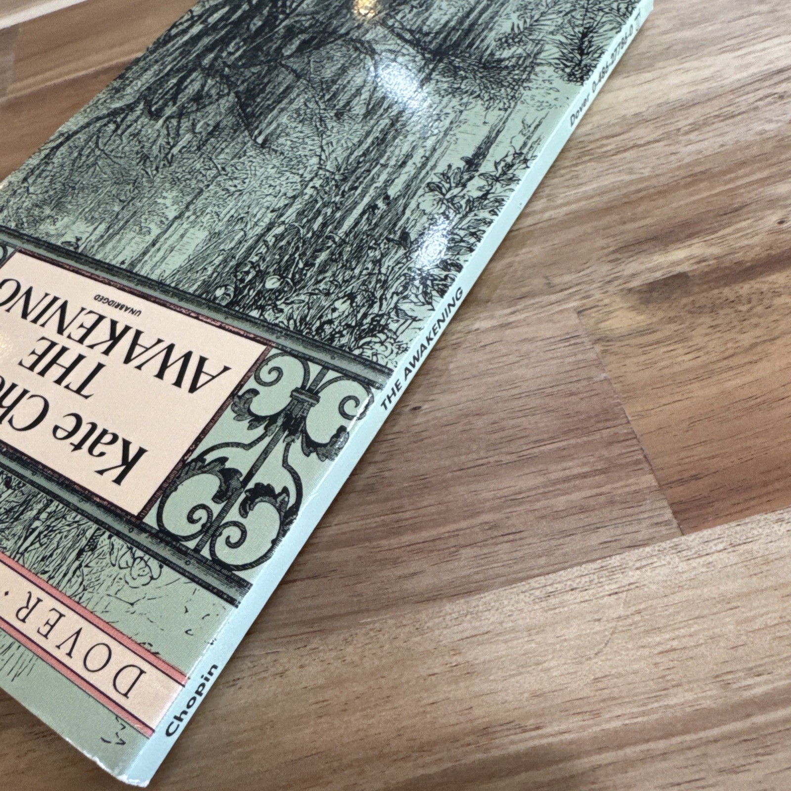 Awakening by Kate Chopin (1993, Trade Paperback)