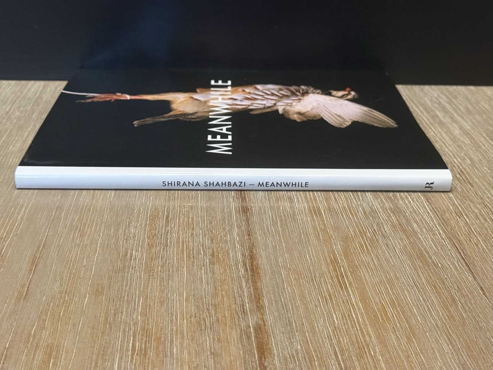 Shirana Shahbazi: Meanwhile by Shirana Shahbazi 2008 Hardcover / DJ
