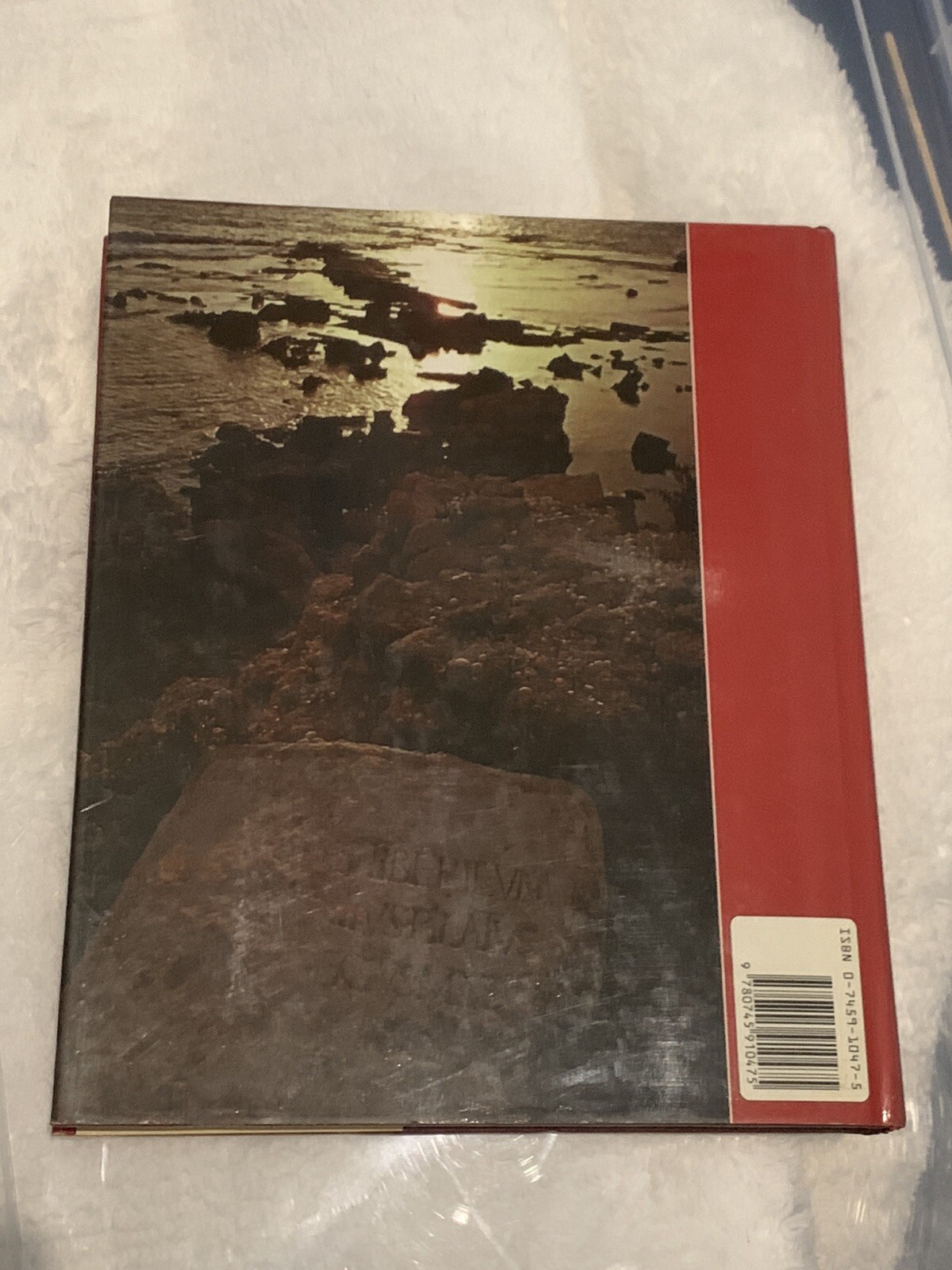 PICTURE ARCHIVE OF THE BIBLE. Hardback by Alan Millard (1987 hardcover)