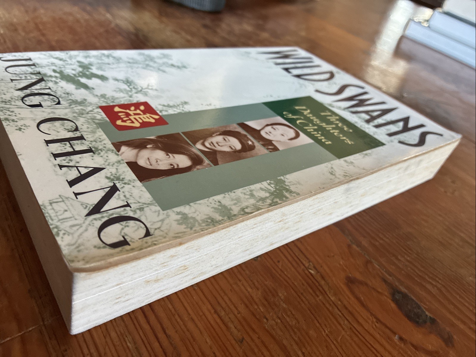 Wild Swans Three Daughters of China (1991) Jung Chang – Paperback
