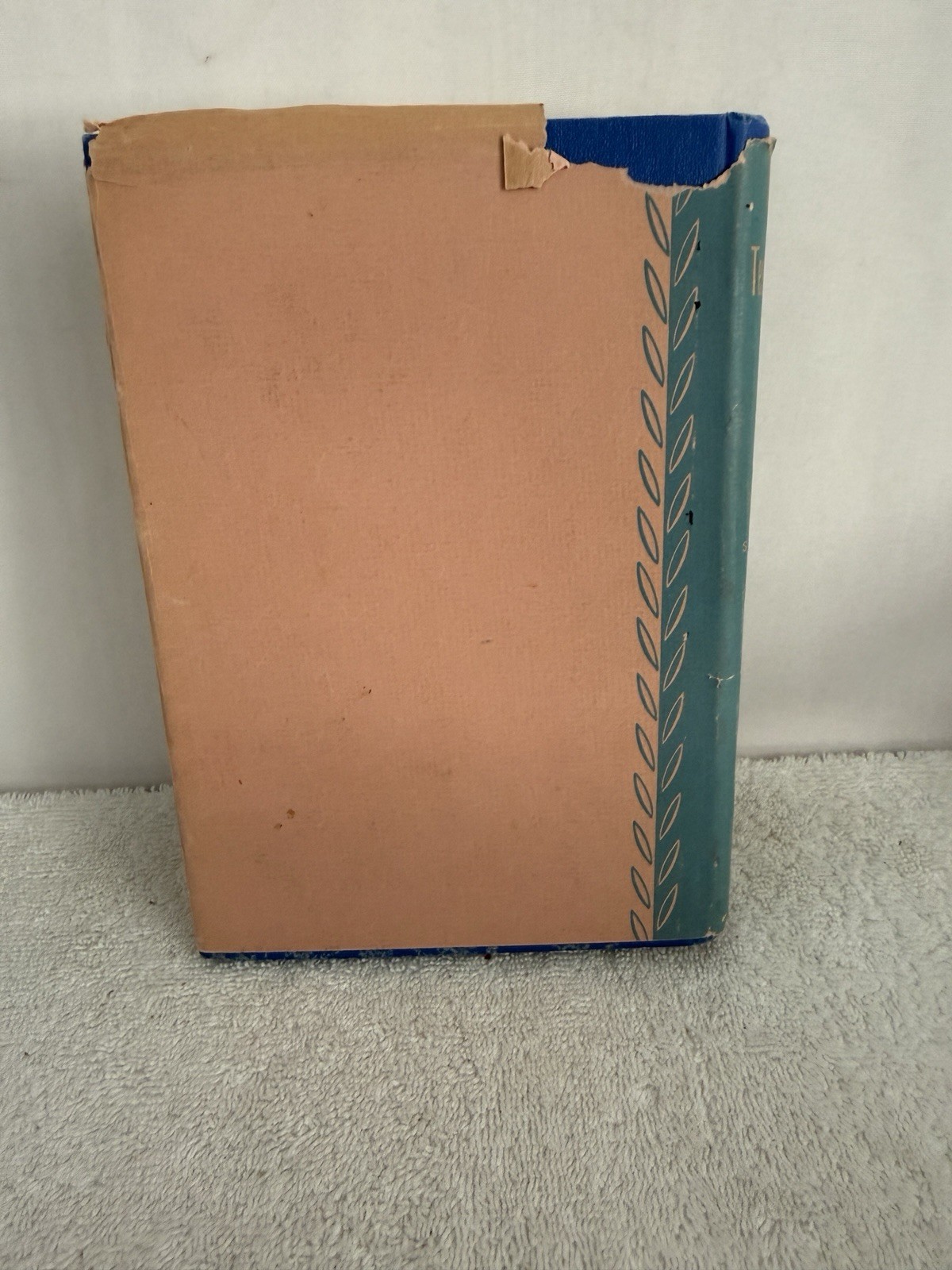 Revised Standard Version of the Old Testament Volume 1