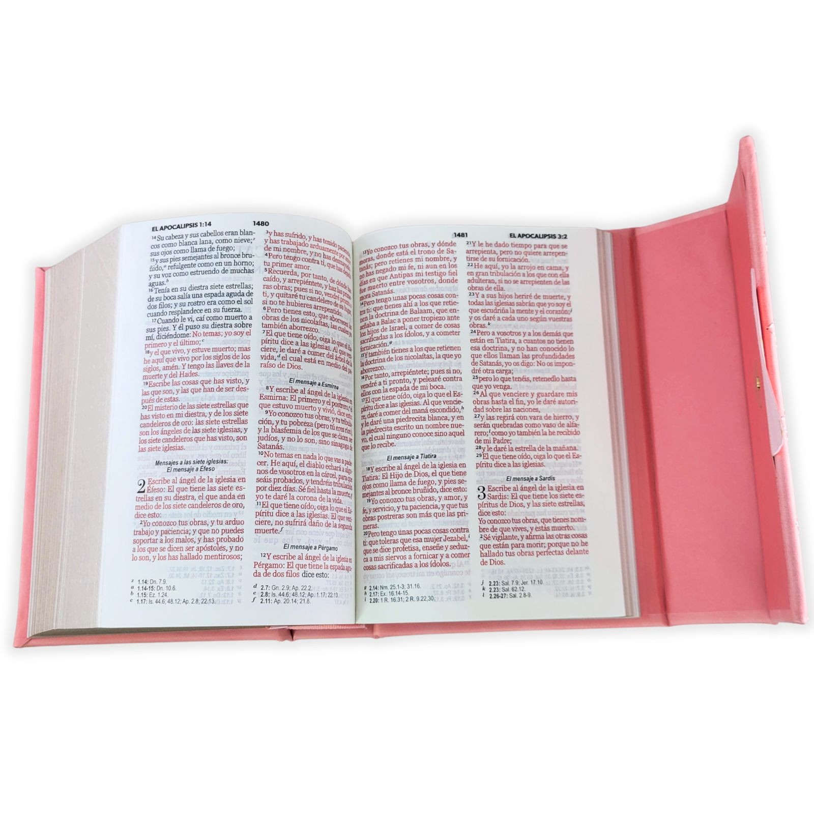 Biblia Cartera con Broche Magnetico y Asa de Mano RV1960 imit piel coral