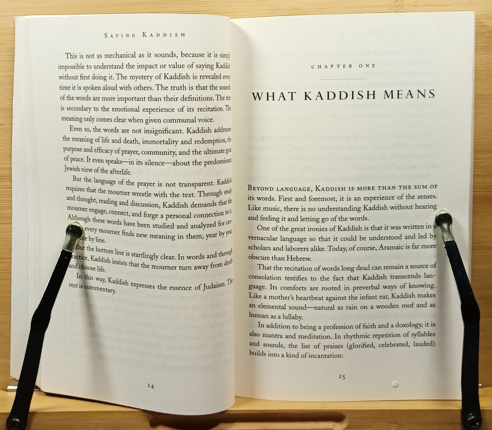 Saying Kaddish: How to Comfort the Dying, Bury the Dead, and Mourn as a Jew by