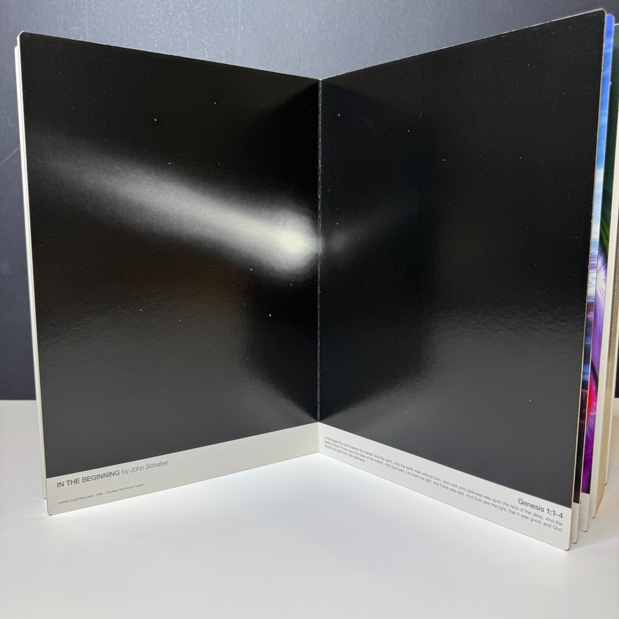 VISIONAIRE 28: BIBLE Edition by Philippe Starck: #2256 Of 6000 – Rare Limited