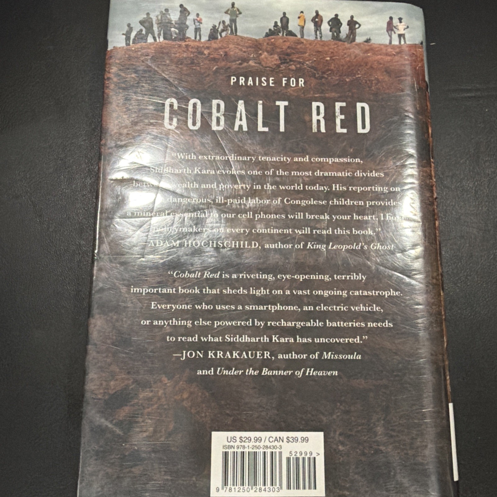 Cobalt Red: How the Blood of the Congo Powers Our Lives by Kara, Siddharth