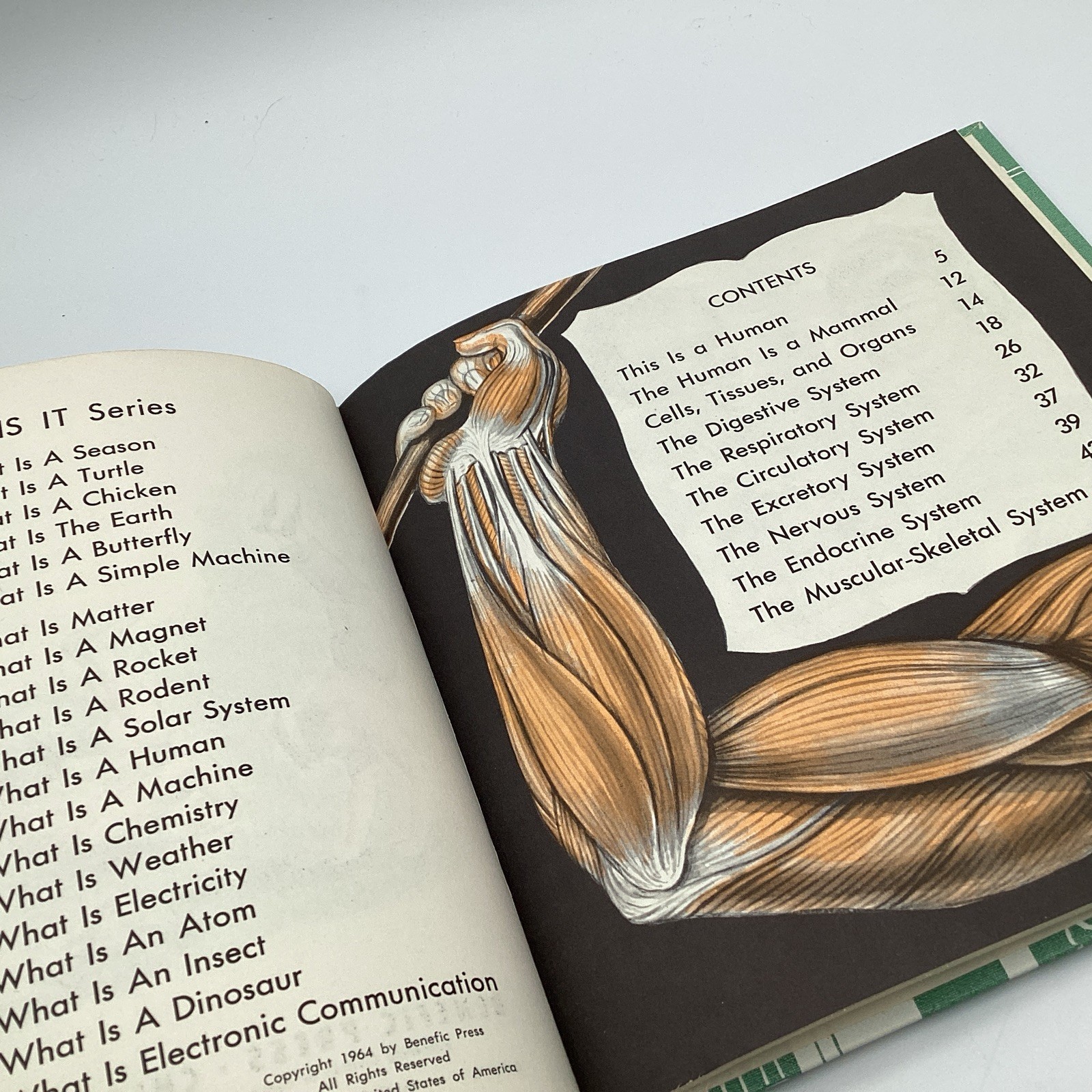 WHAT IS A HUMAN, (what is series) 1964 Benefic Press, by Melvin Alexenberg