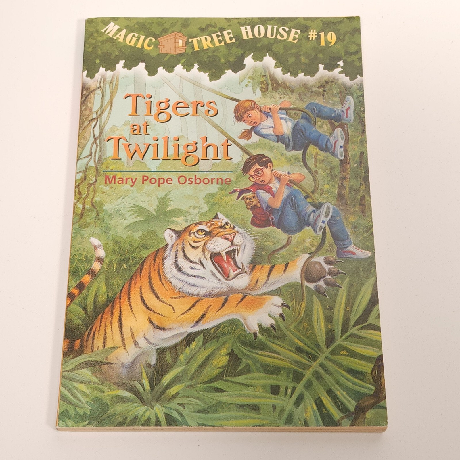 Magic Tree House Lot 9 Chapter Books Mary Pope Osborne 2 3 8 9 10 13 16 19 23