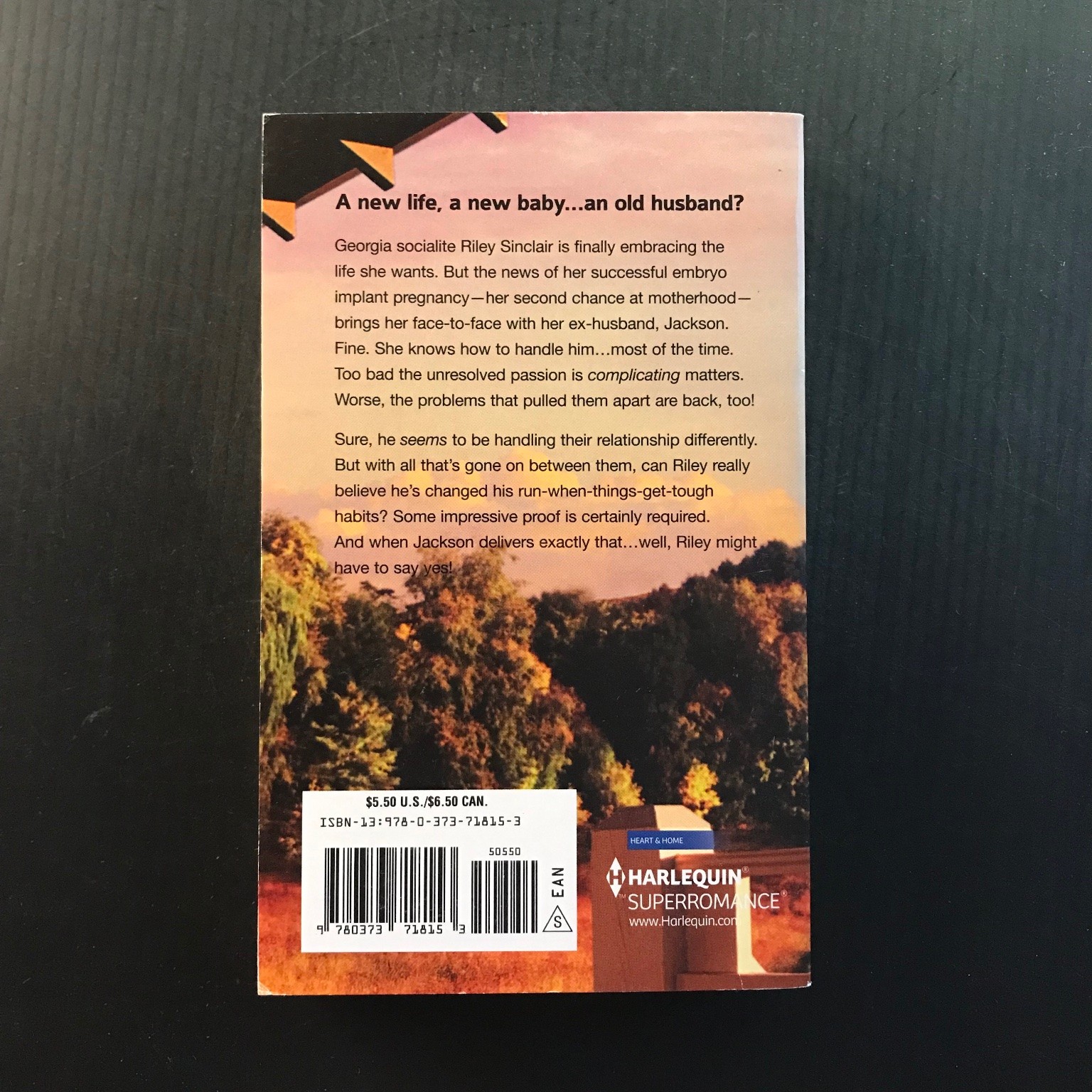 The Life of Riley Lenora Worth 2012 Harlequin Superromance Paperback