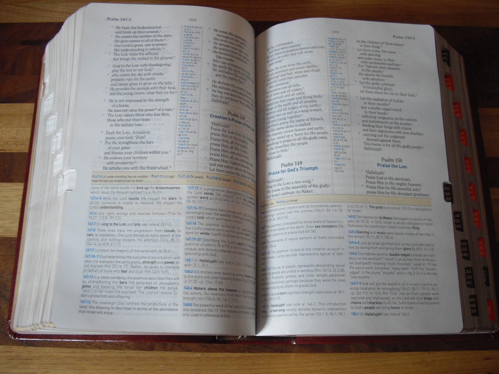 Brown Simulated Leather (LeatherTouch) HCSB Study Bible Personal Size CSB