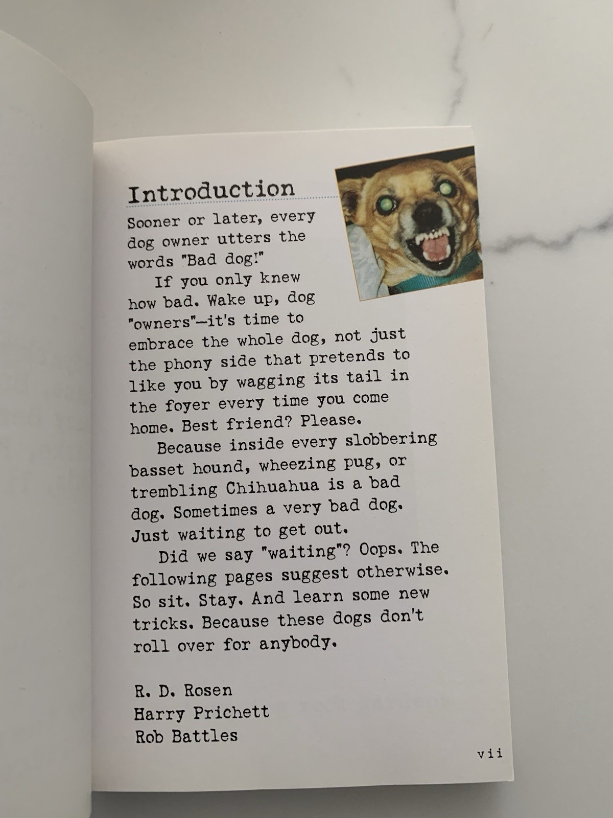 Bad Dog: 278 Outspoken, Indecent, and Overdressed Dogs by R.D. Rosen, Harry Pri