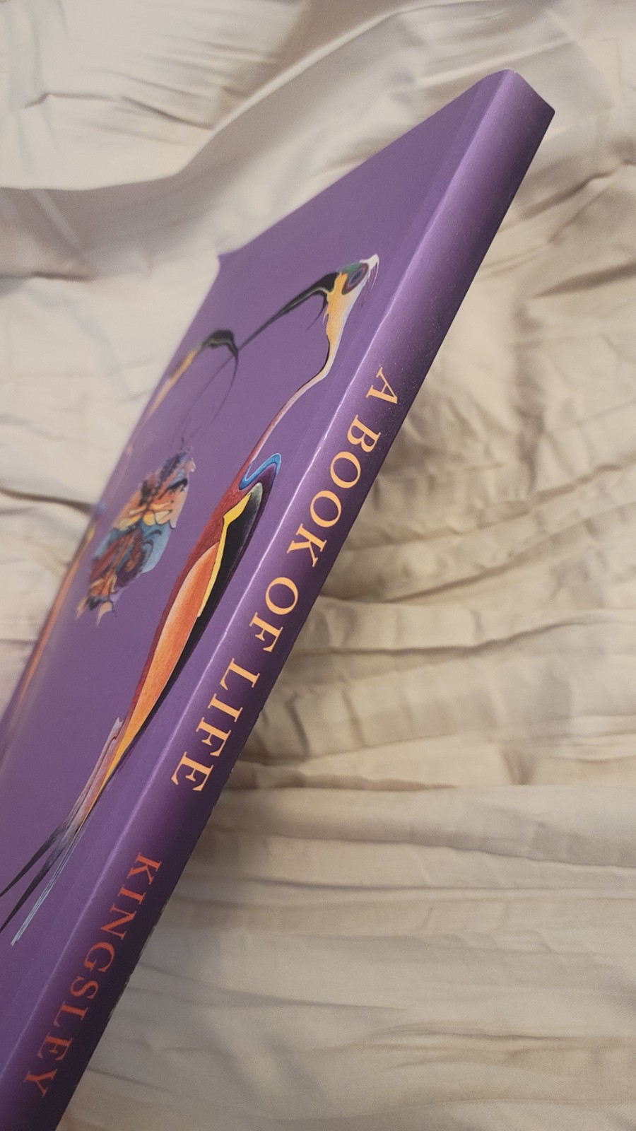 Peter Kingsley A Book of Life 2021 Trade Paperback Catafalque Press Mysticism