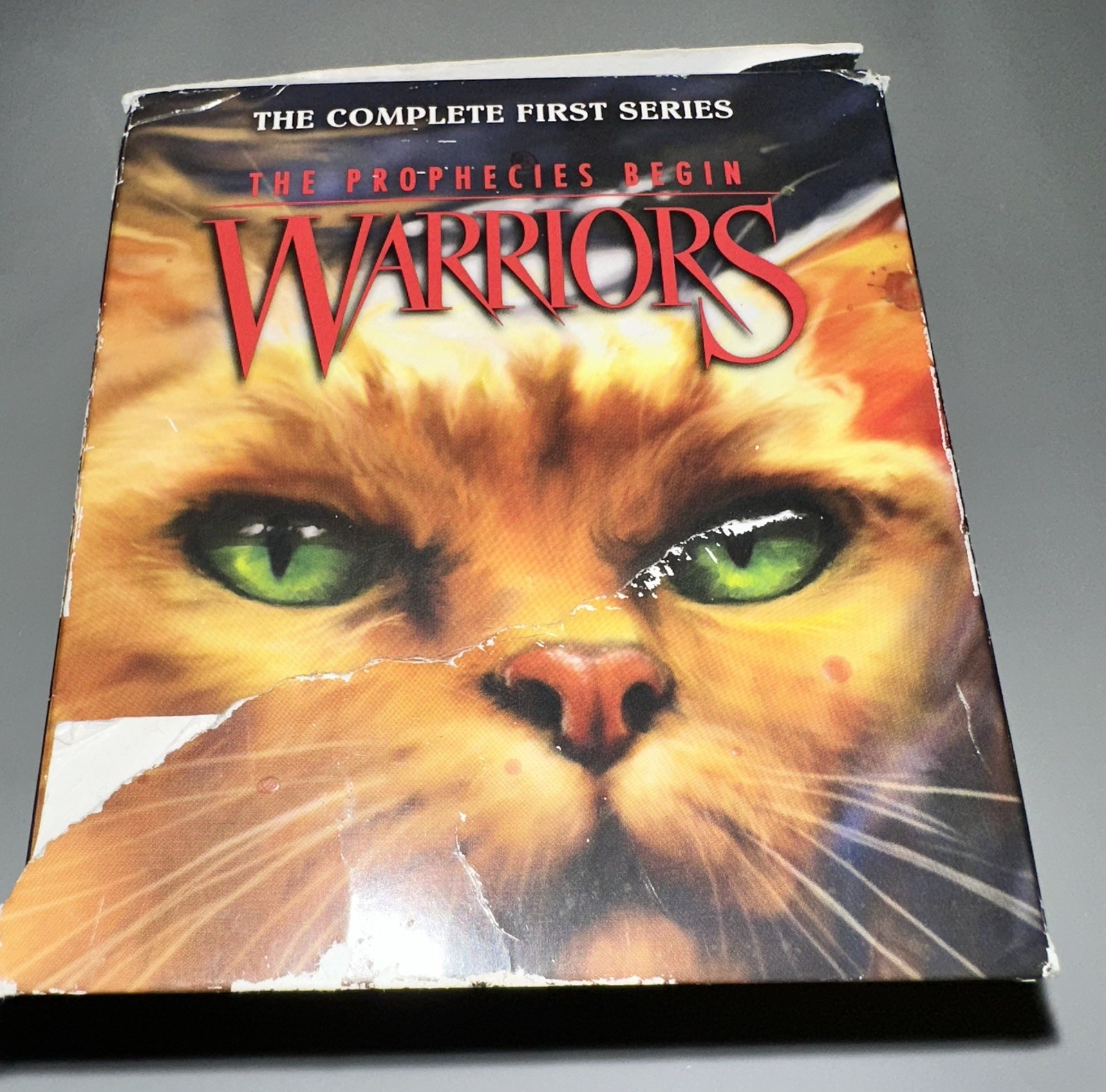 Warriors: The Prophecies Begin by Erin Hunter – First Series Books 1-6 Paperback