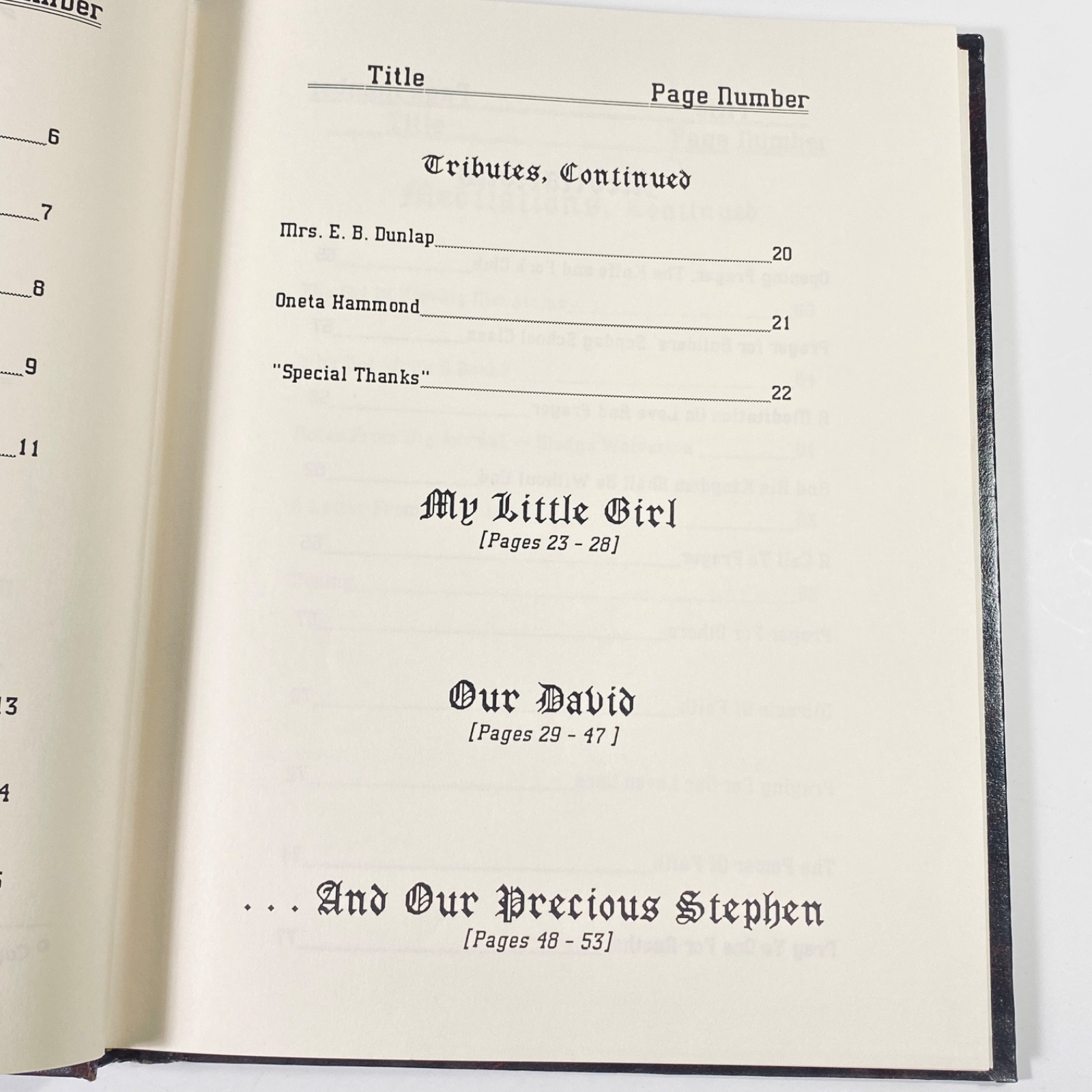 A LIFETIME DEVOTIONAL Selected Works of Alma Brammer 1990 – Self Published