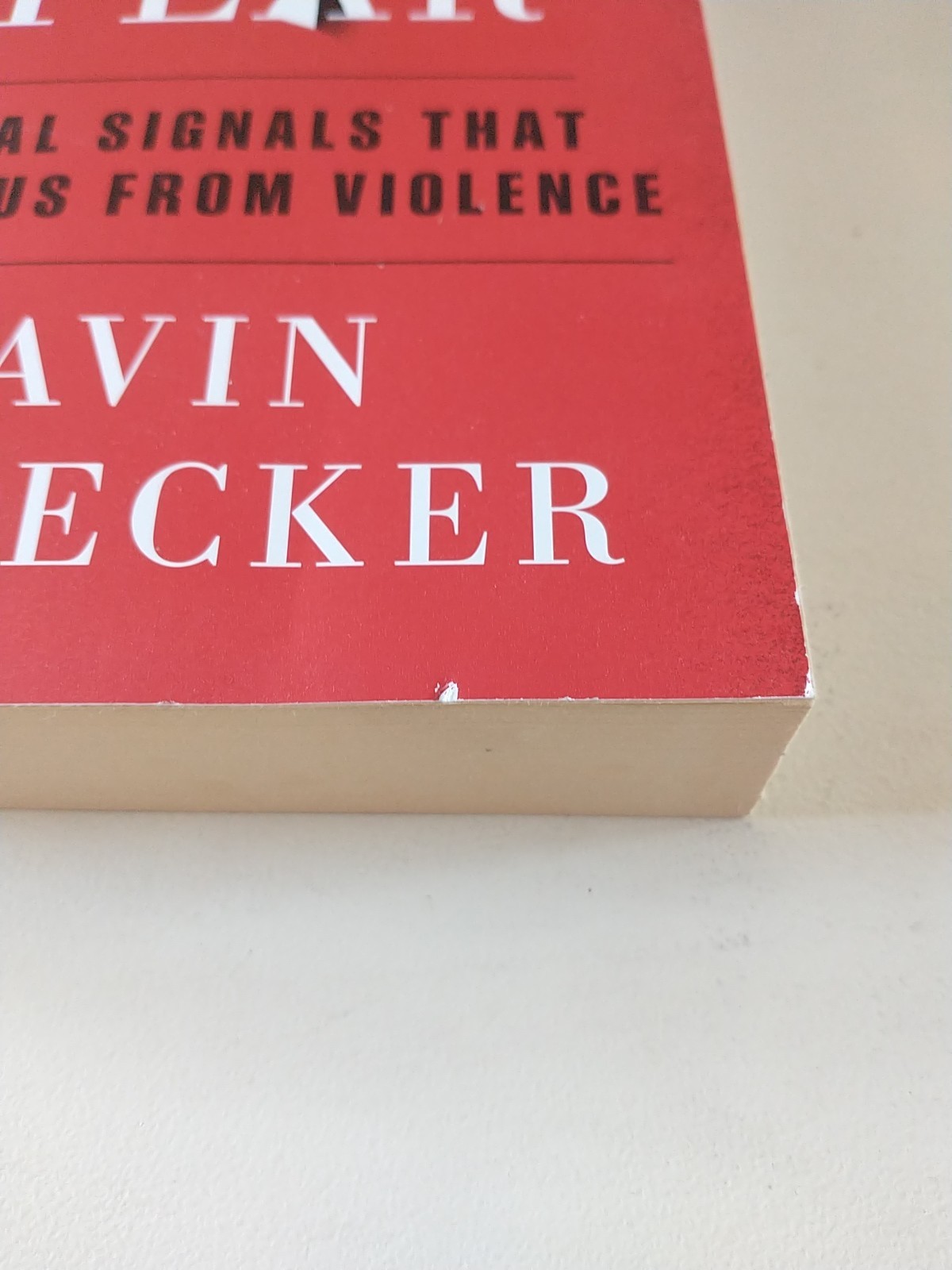 Gift of Fear : Survival Signals That Protect Us from Violence by Gavin de Becker