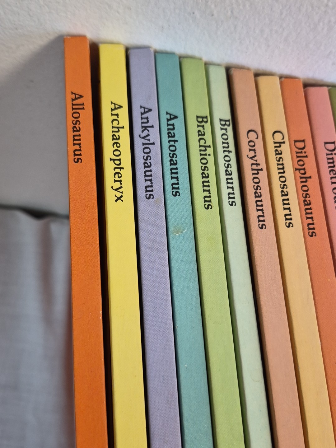 Rare Vintage 29 Rourke Hardcover 80’S Dinosaur Library Series Books Set
