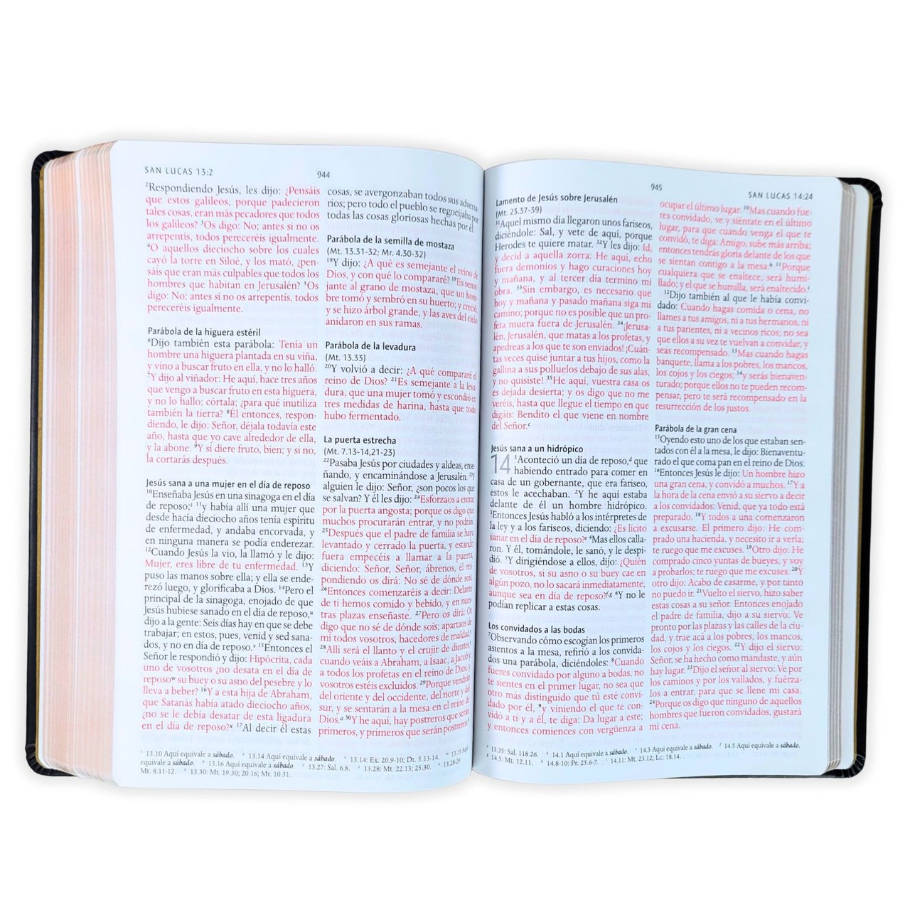 Biblia Edicion Especial 10.5 puntos RV1960, tapa dura leon de Juda, bronce