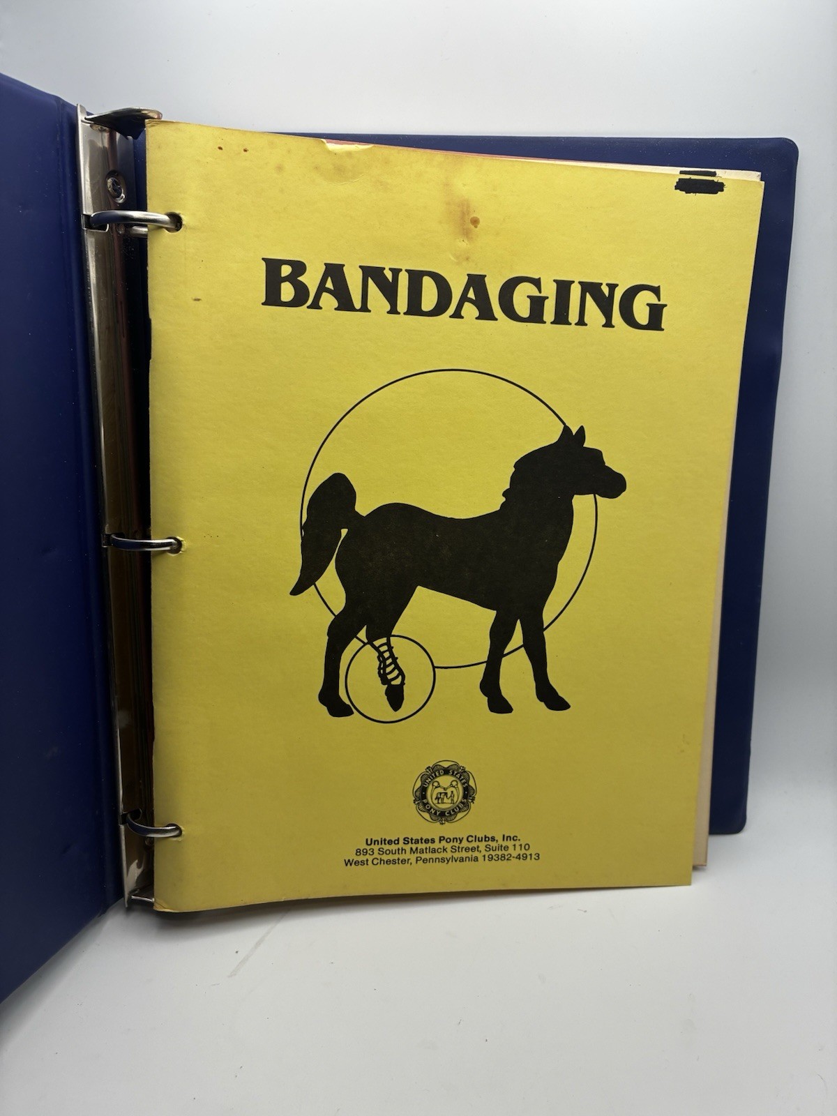 Vintage 6 United States Pony Clubs Horse Care Booklets Bandaging Longeing Condit